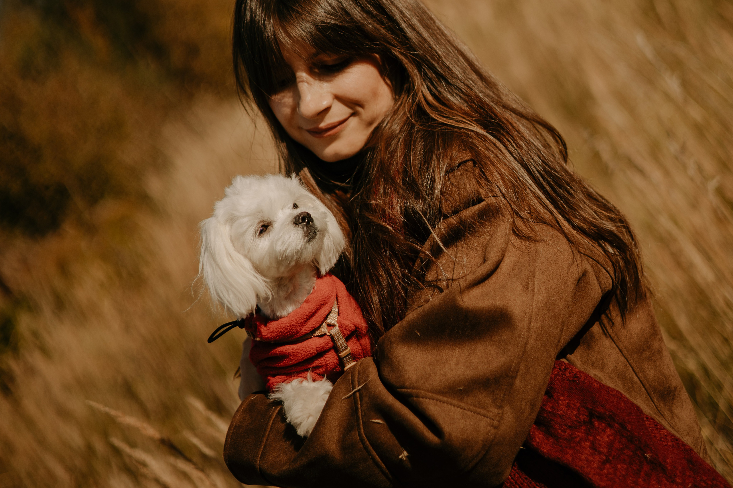 Любовь & Белла. Фотограф — анималист •love-story•|Санкт-Петербург