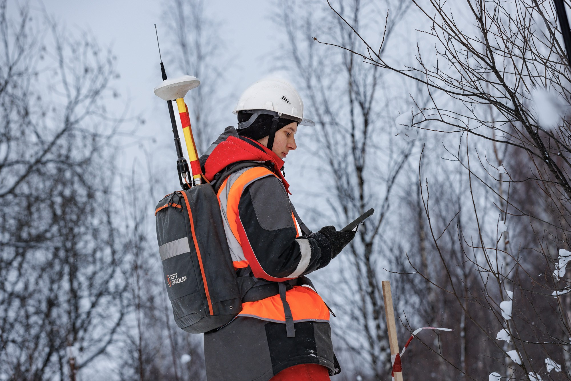 Зеленая сейсмика. Главная