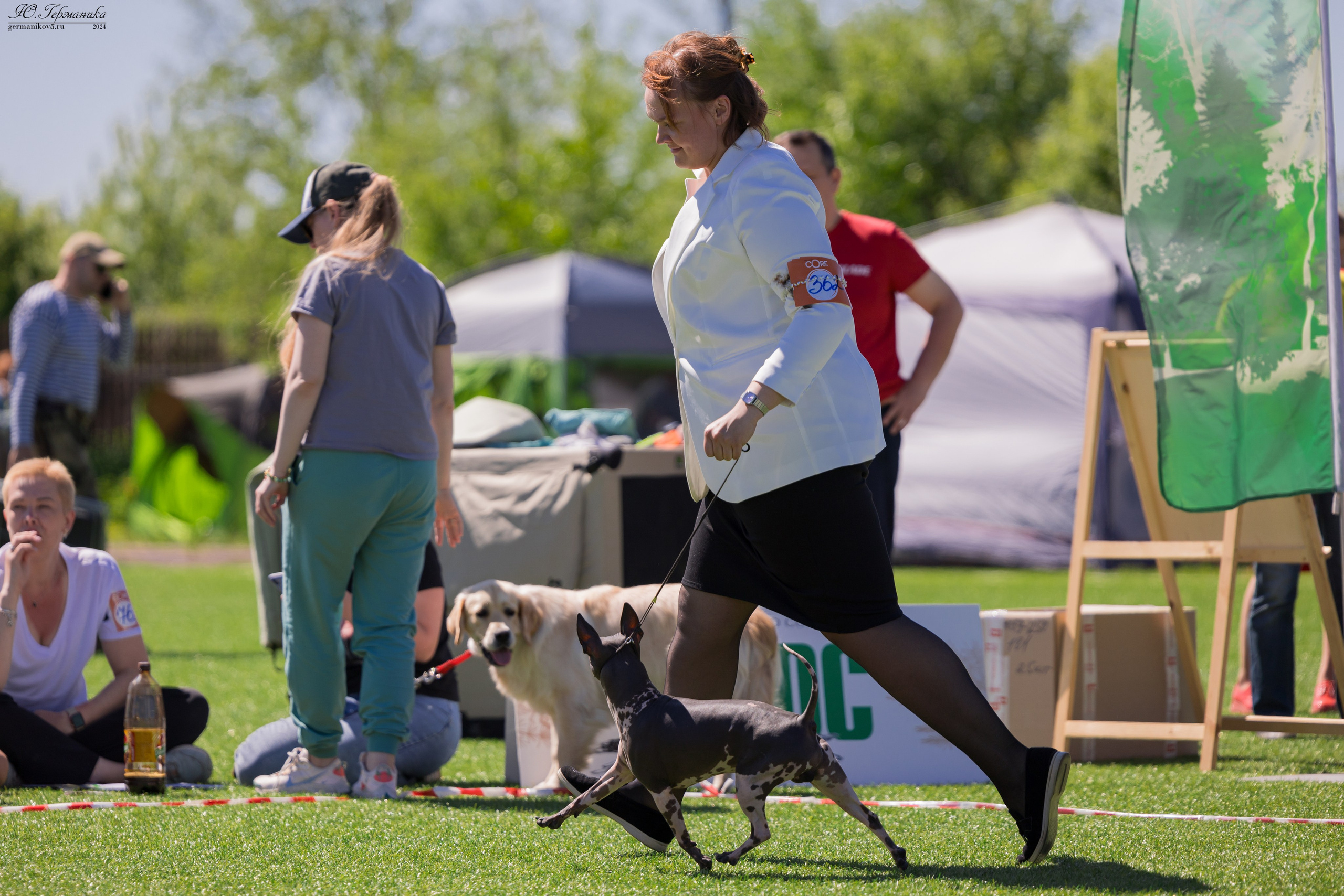 Суздаль 18-19.05.2024. Фотограф-анималист Юлия Германика