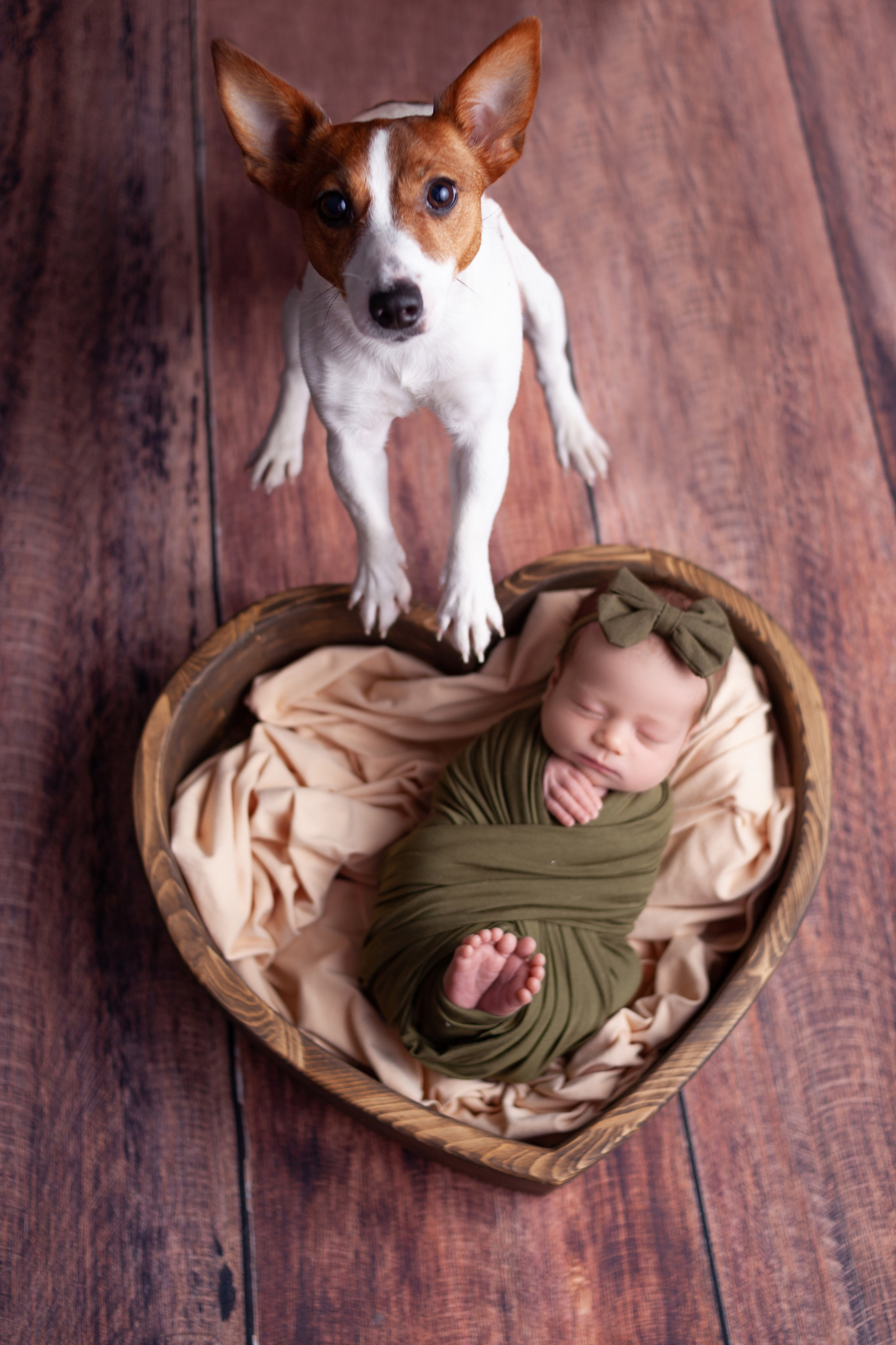 Девочки. Фотограф новорожденных г. Подольск, г. Жуковский, весь юг Москвы и Моск.обл