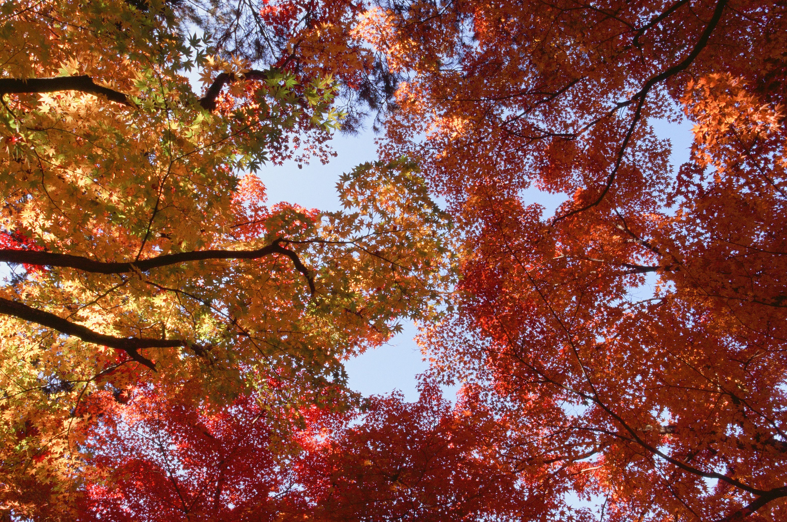 Out of noise // japan, takayama III. EVER EXPOSED