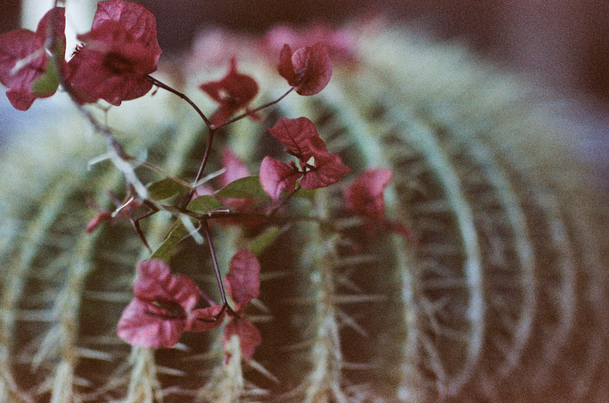 Pain shopping // ukraine, crimea. EVER EXPOSED