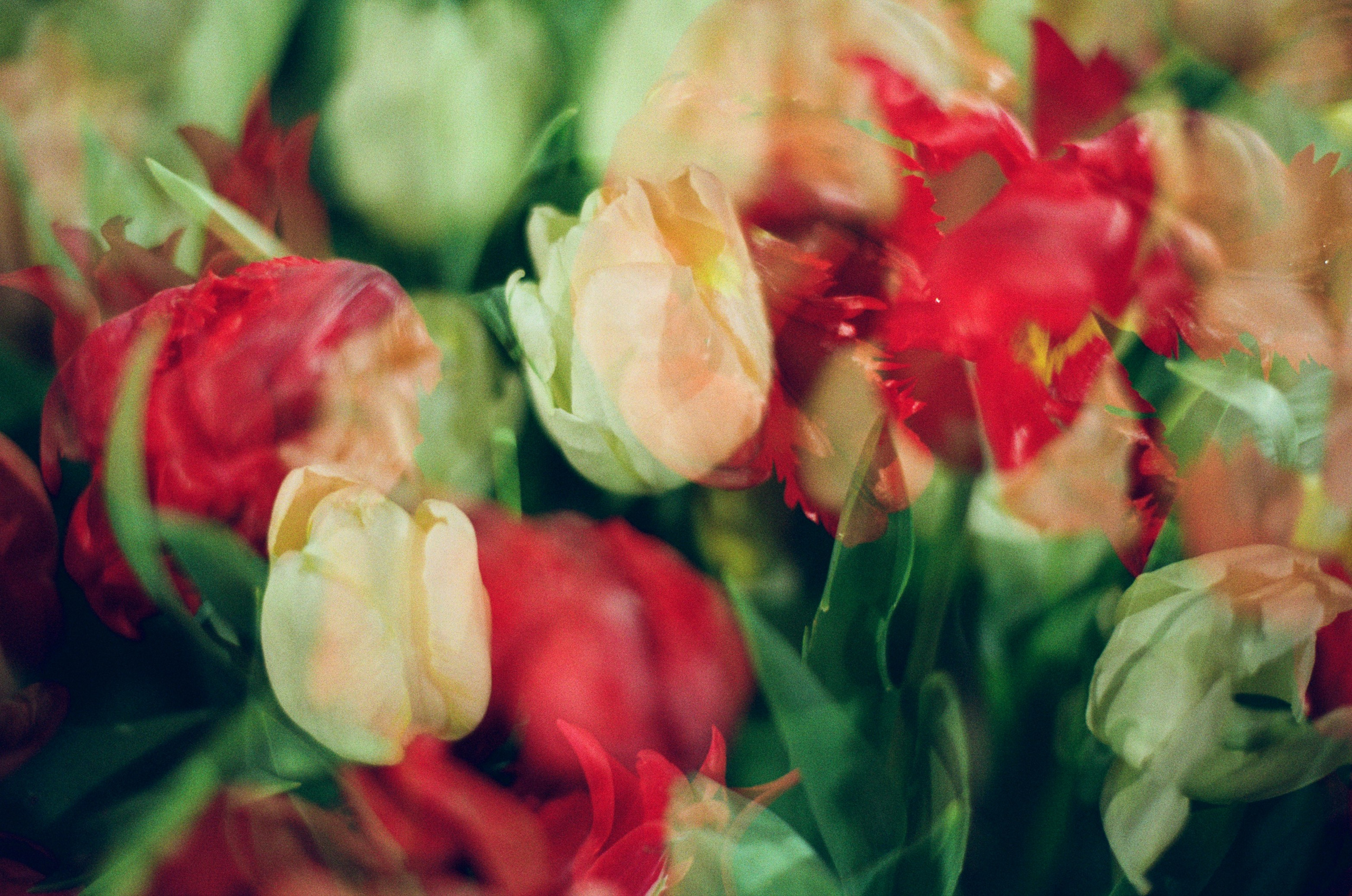 If i get high IV. EVER EXPOSED