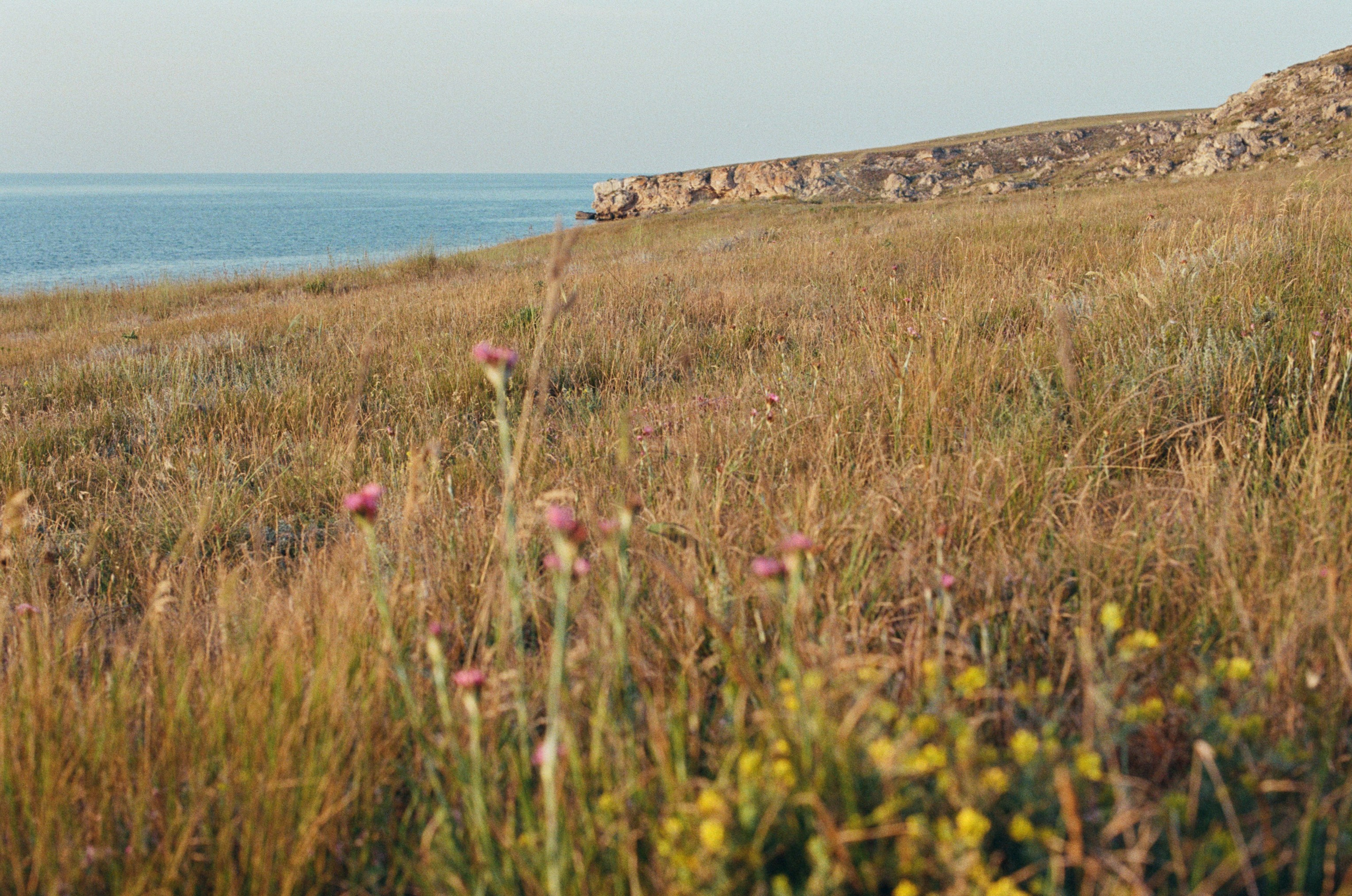 Silent running // ukraine, crimea III. EVER EXPOSED