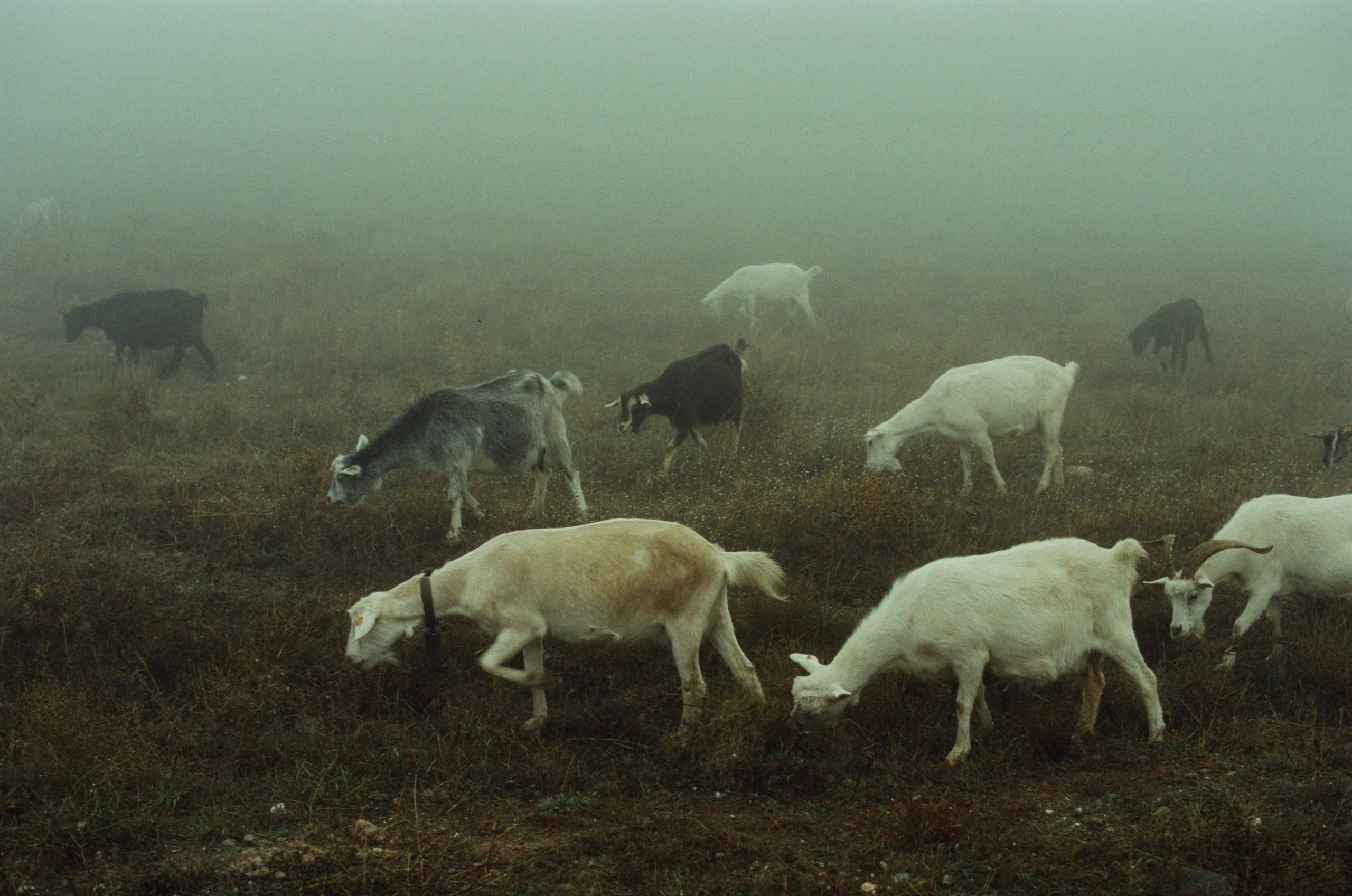 I o u // ukraine, crimea. EVER EXPOSED