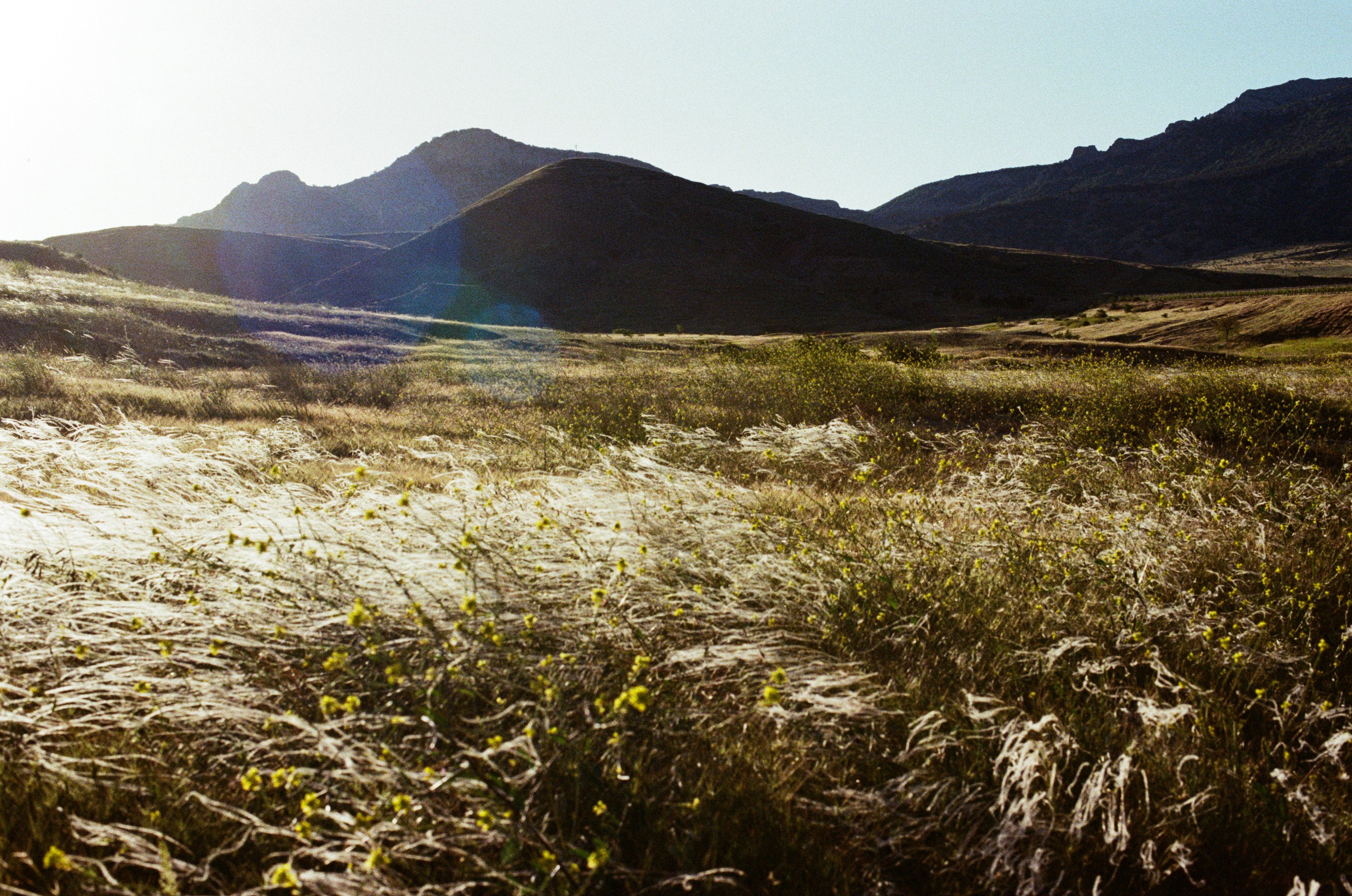 Kool-aid // ukraine, crimea VI. EVER EXPOSED