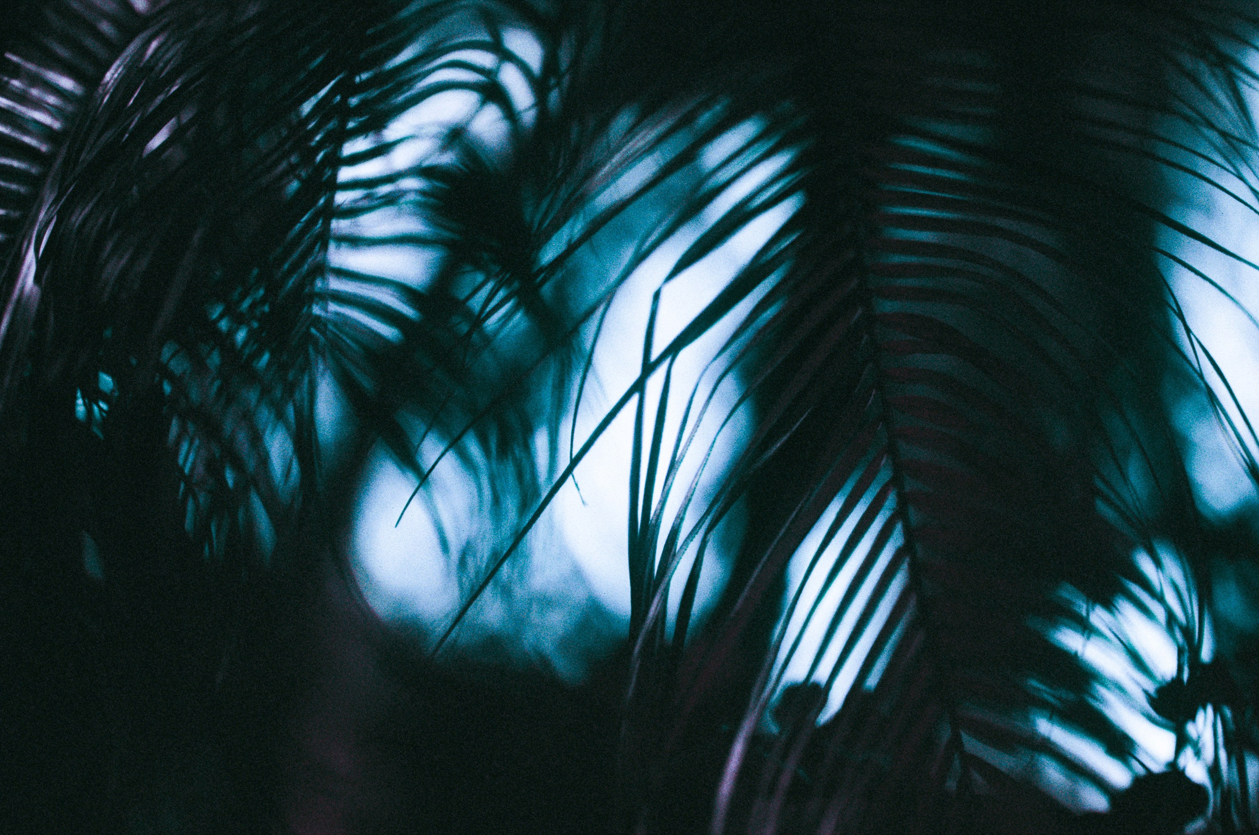 Everything i could never say to you. EVER EXPOSED