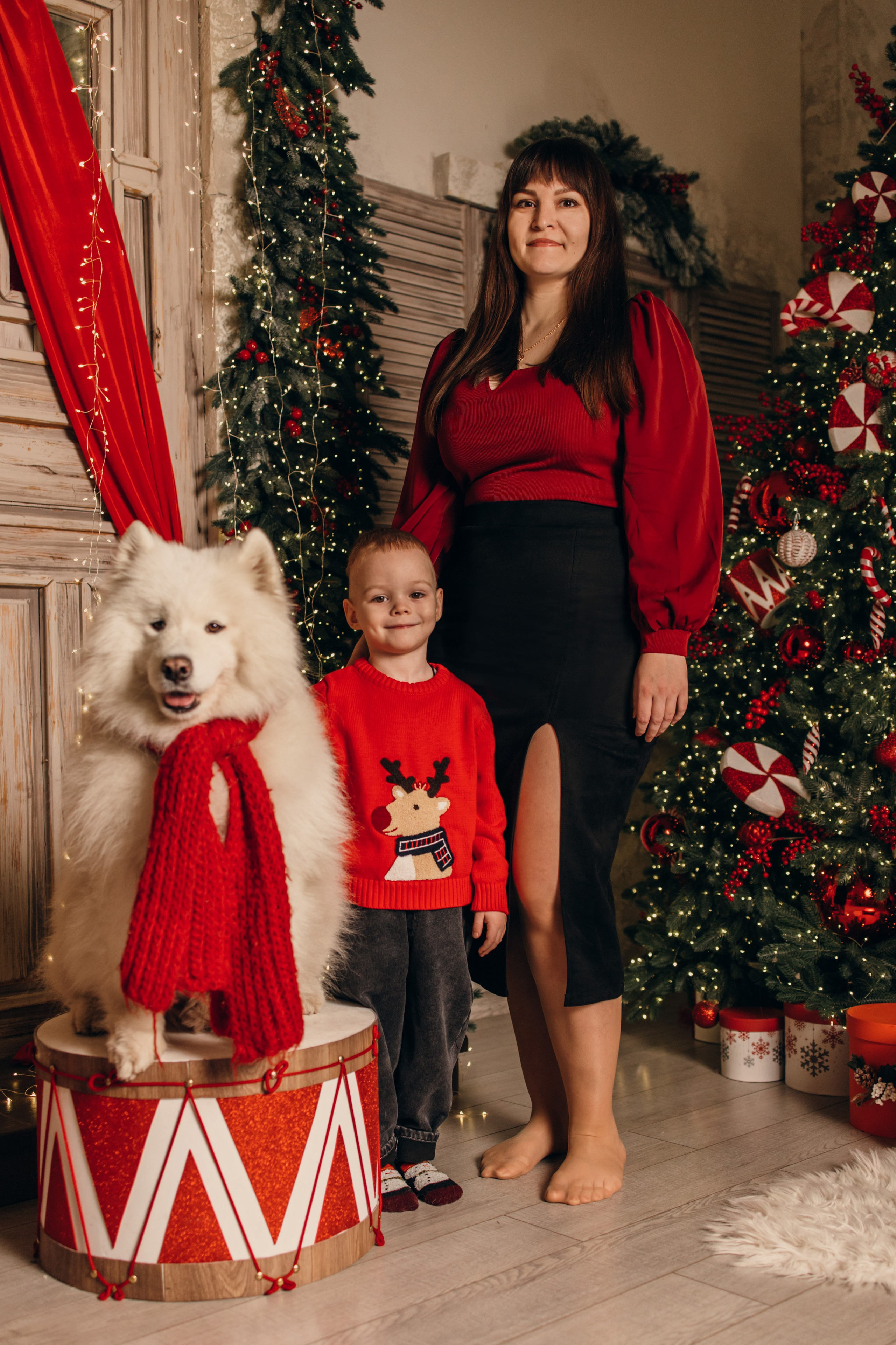 Новогодний самоед. Коновалова Ольга | фотограф в Пензе и Заречном