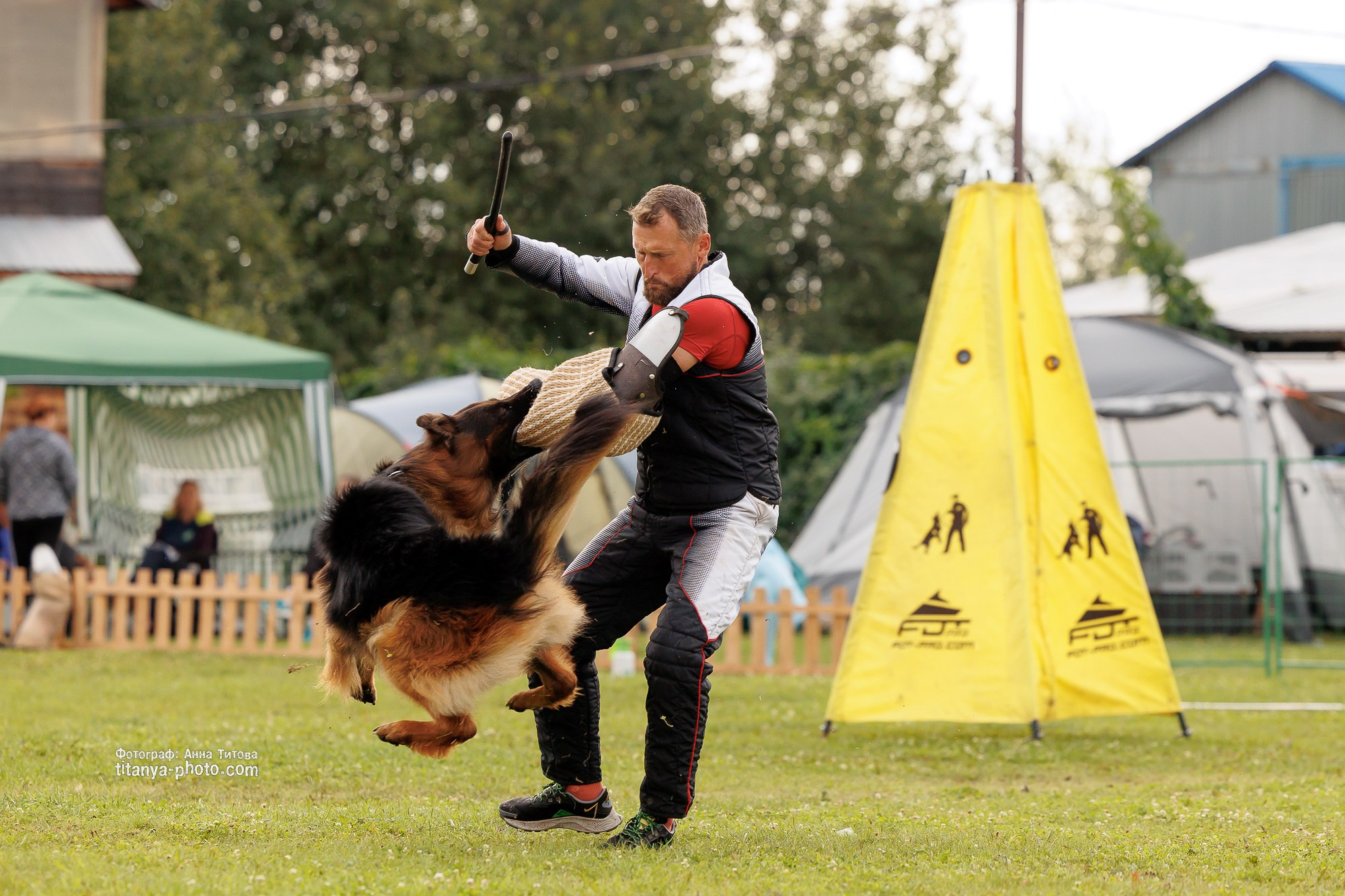 Немецкие овчарки: фото из рингов и вне ринга, мутпроба (фотографии с выставок). Фотограф собак, фотограф-анималист Аня Титова (Titanya). Москва