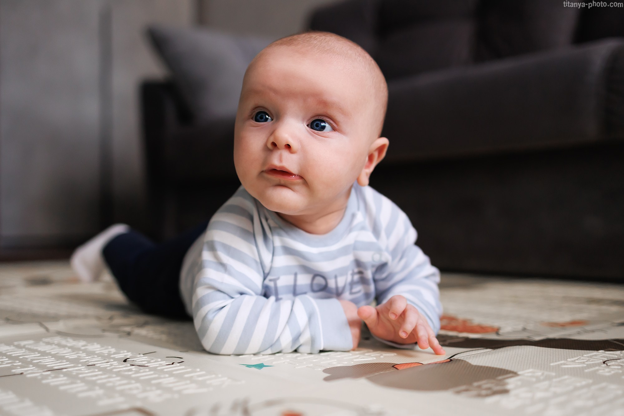 Катя и Саша. Фотограф собак, фотограф-анималист Аня Титова (Titanya). Москва