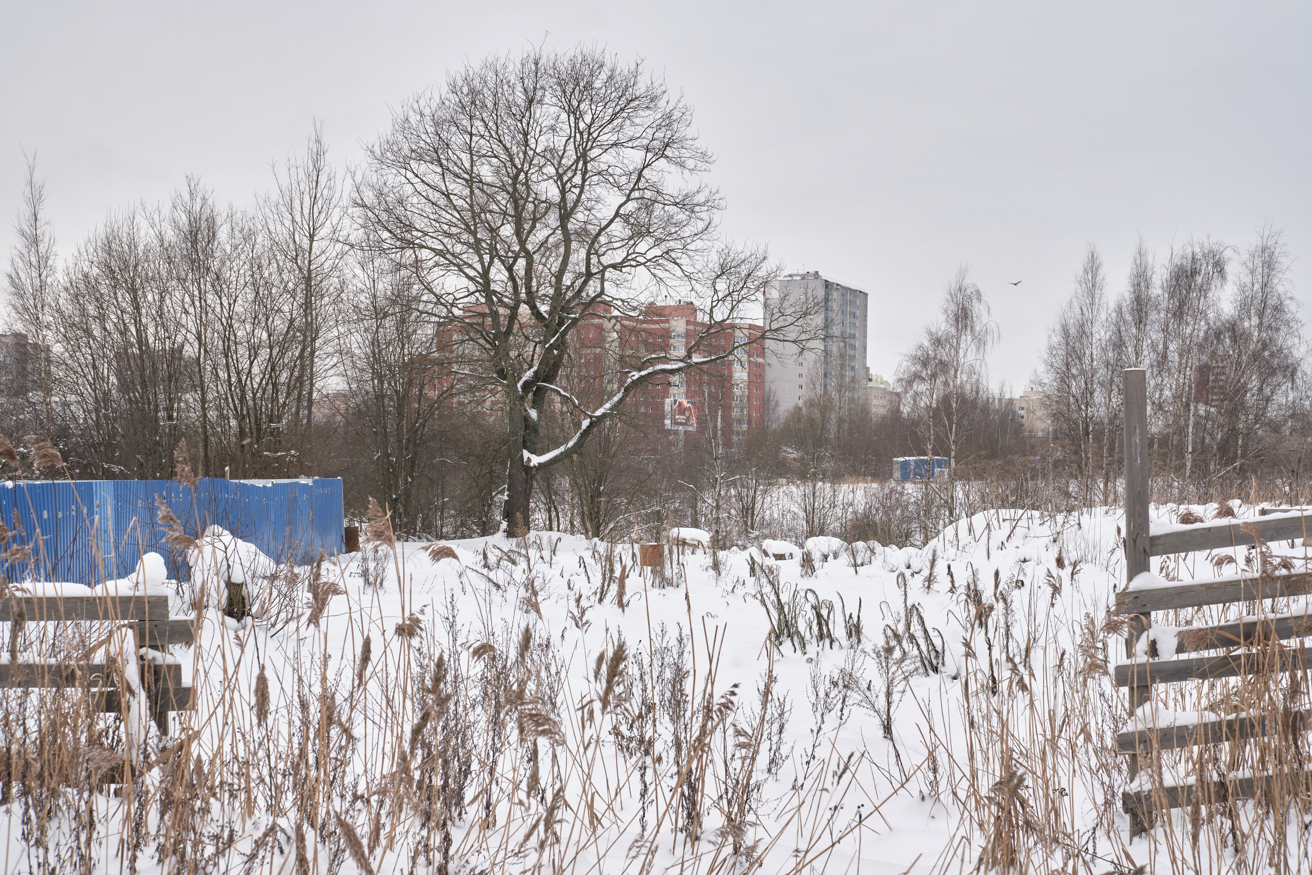 Городской пейзаж — deadpan | Филипп Линзин. Репортажный и портретный фотограф в Санкт-Петербурге Филипп Линзин