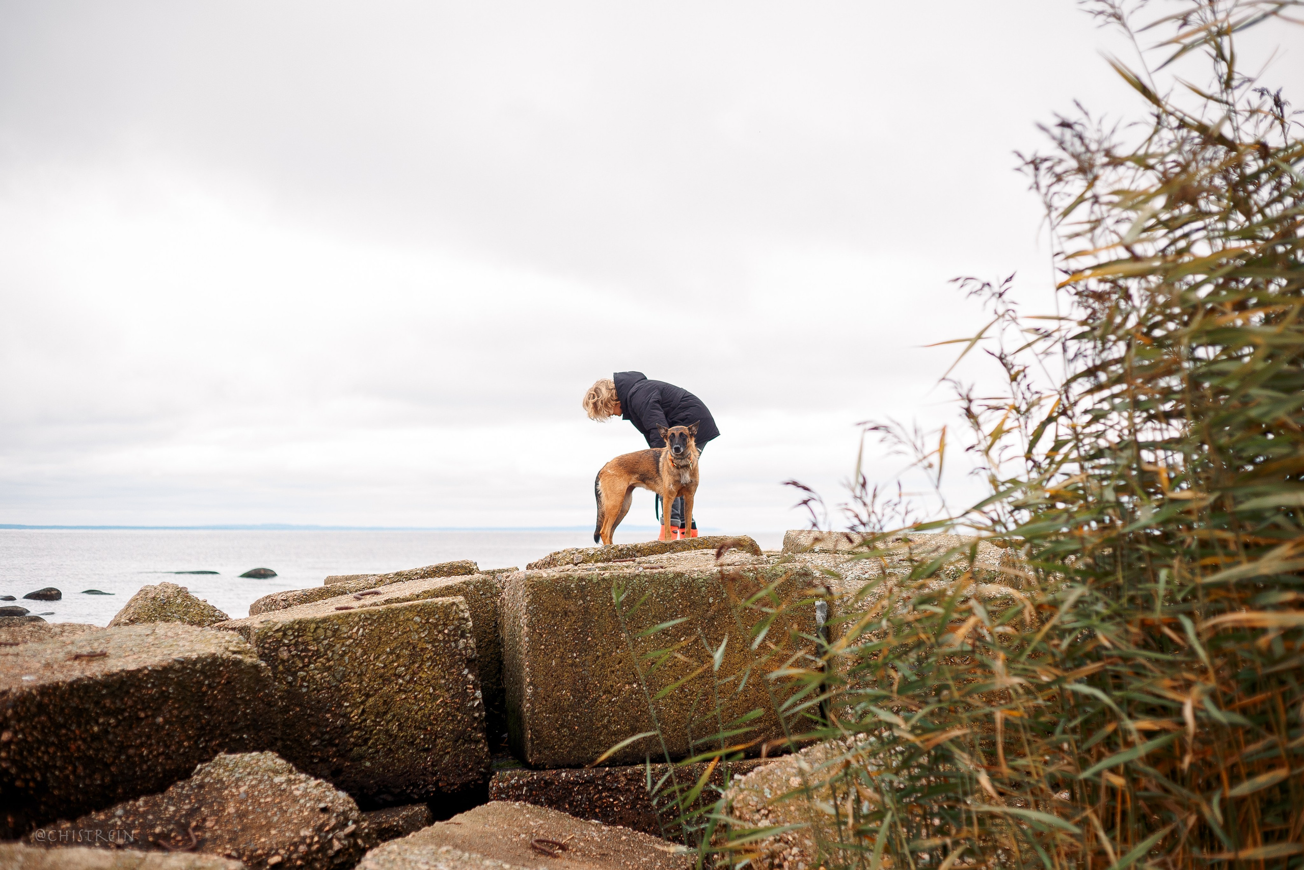 Дальний пирс. Фотограф-анималист Наталия Чистюхина в г. Сосновый Бор и ЛО