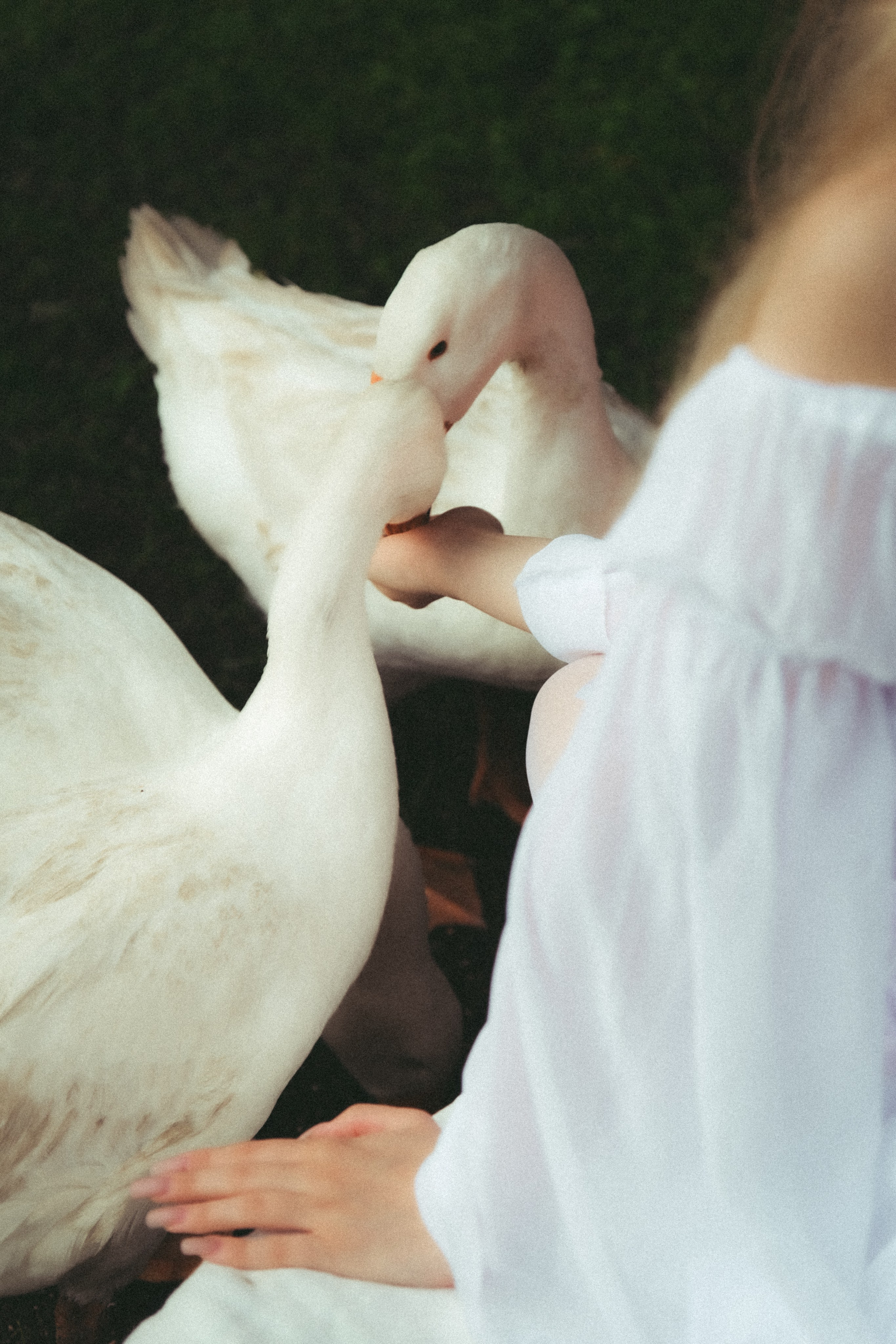 Sophy. Фотограф Антон Токарев | Екатеринбург