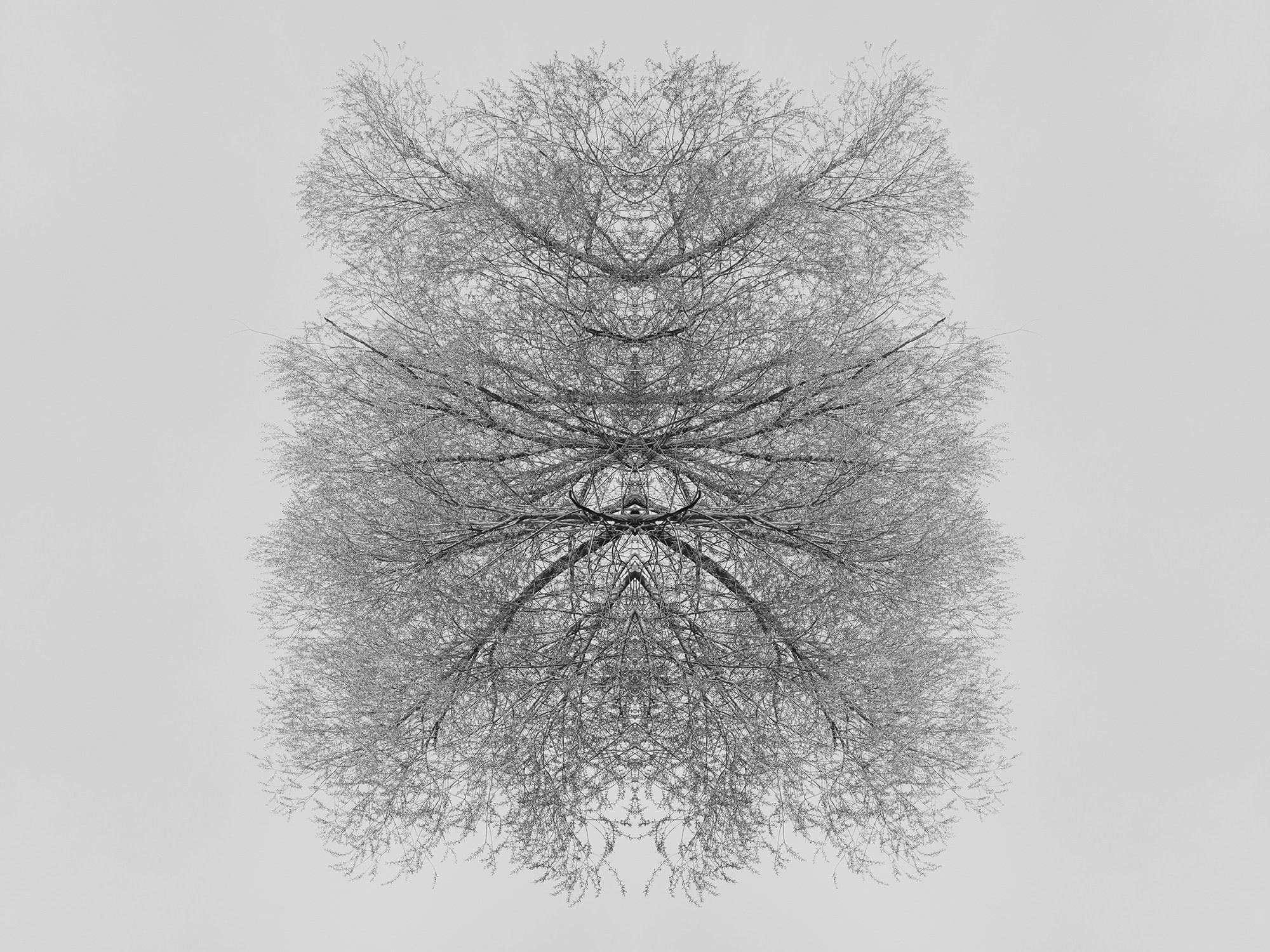 Острова. Анна Порошина — междисциплинарный художник