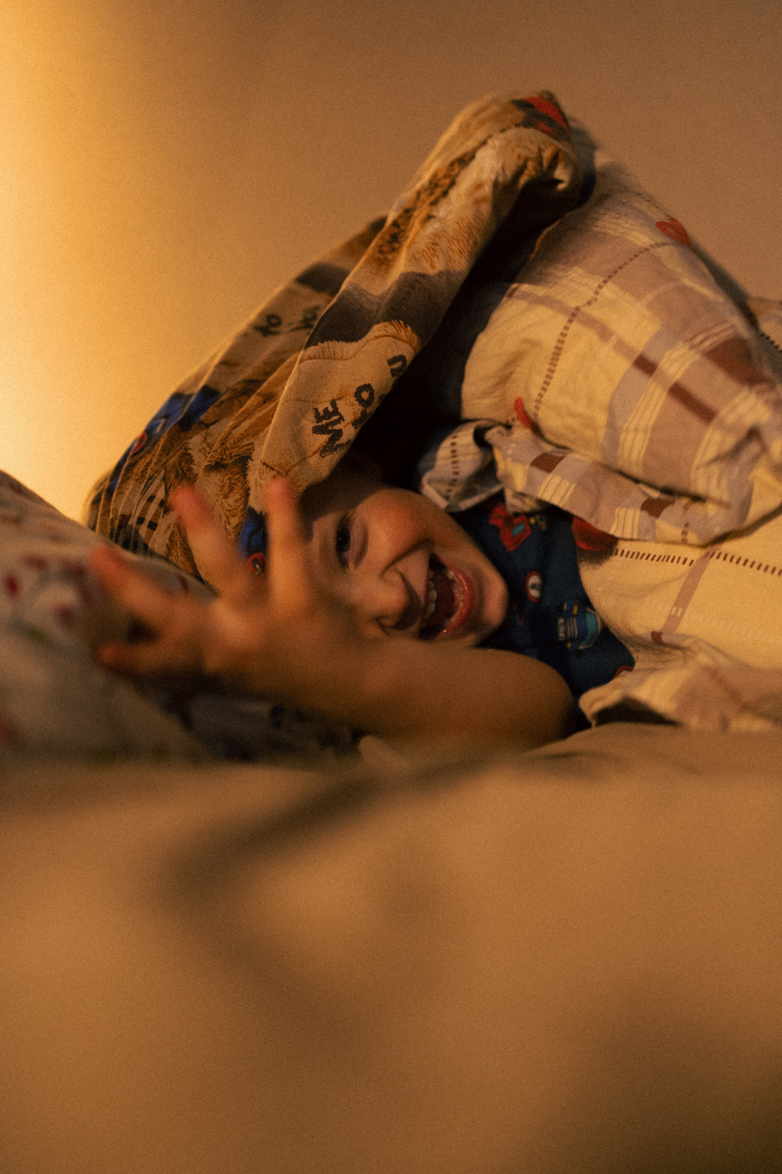 Мальчишки. Фотограф анималист в Москве Майорова Евгения