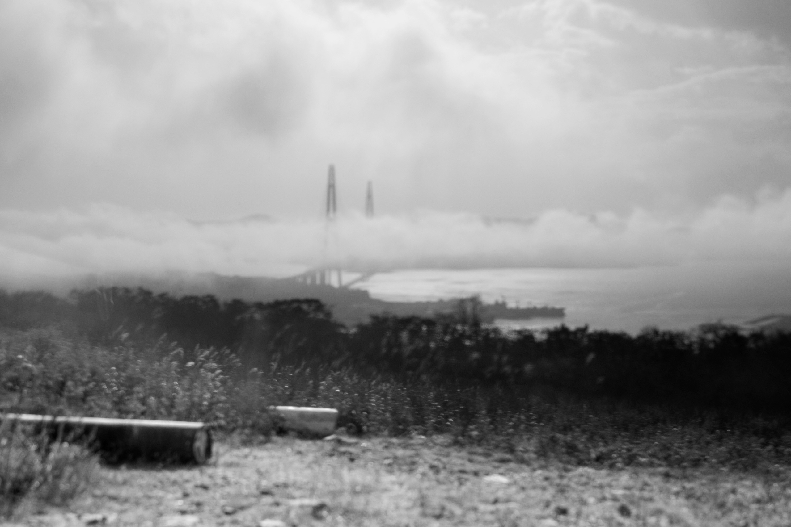 Монохром. Фотограф г. Владивосток