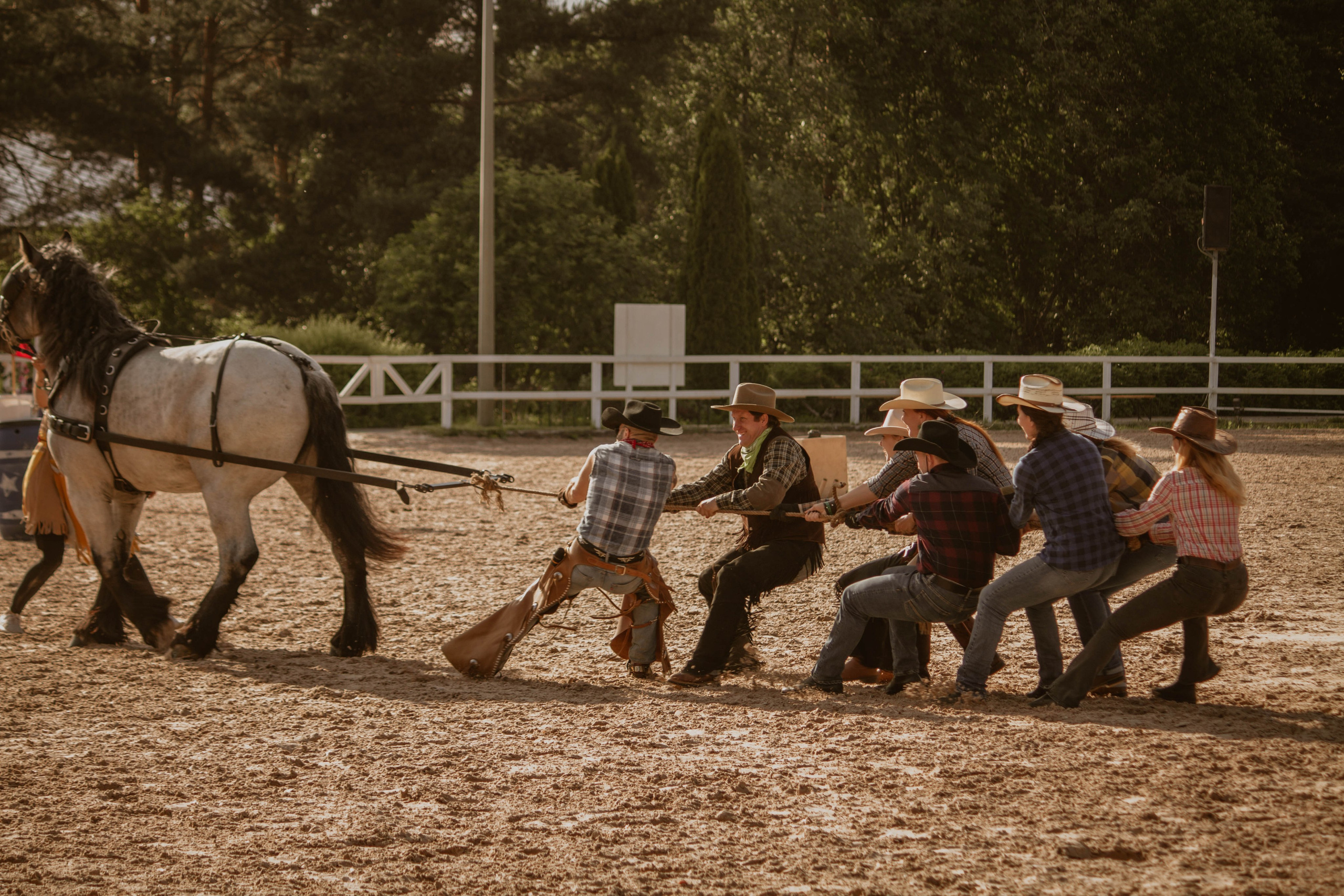 ИППОСФЕРА — Международная конная выставка. Создадим шедевр? Виталина и её фотоискусство