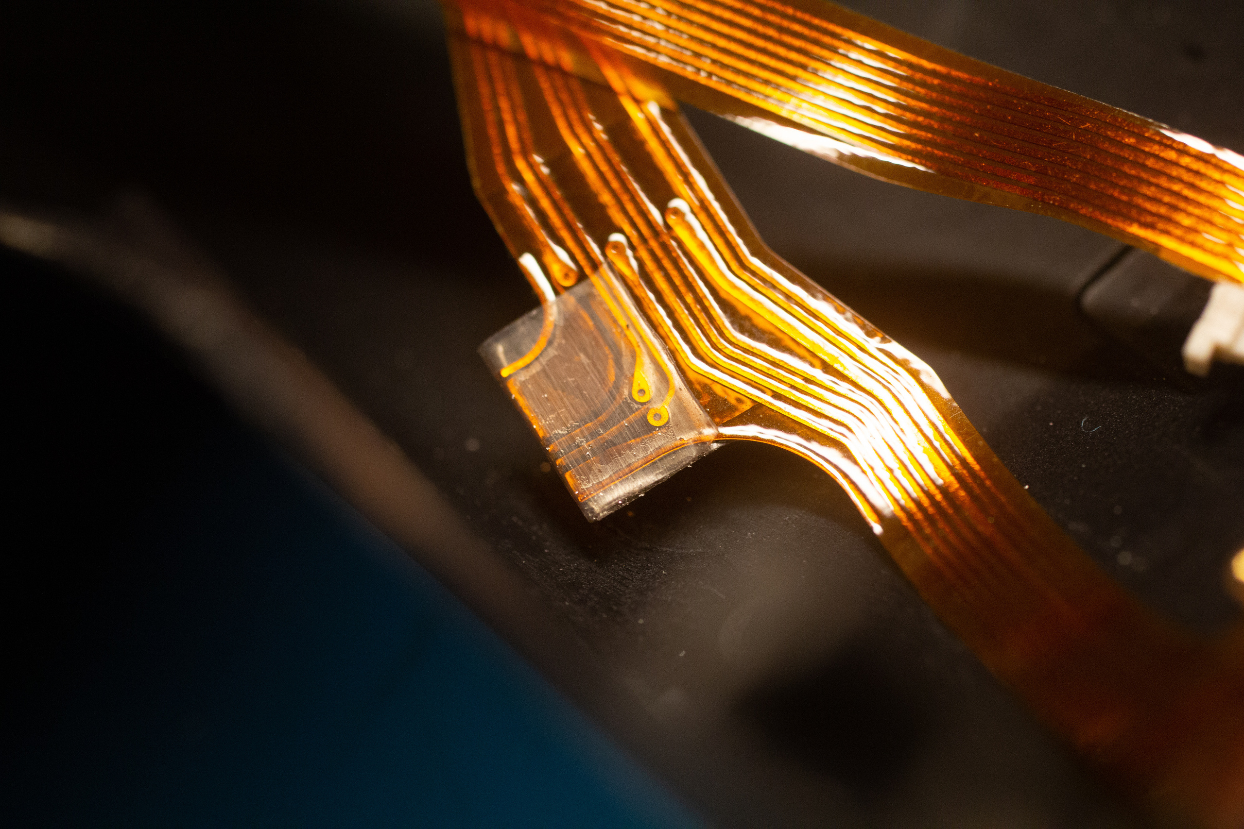 Ремонт Phase one df. Ремонт Mamiya в Москве, Санкт петербурге