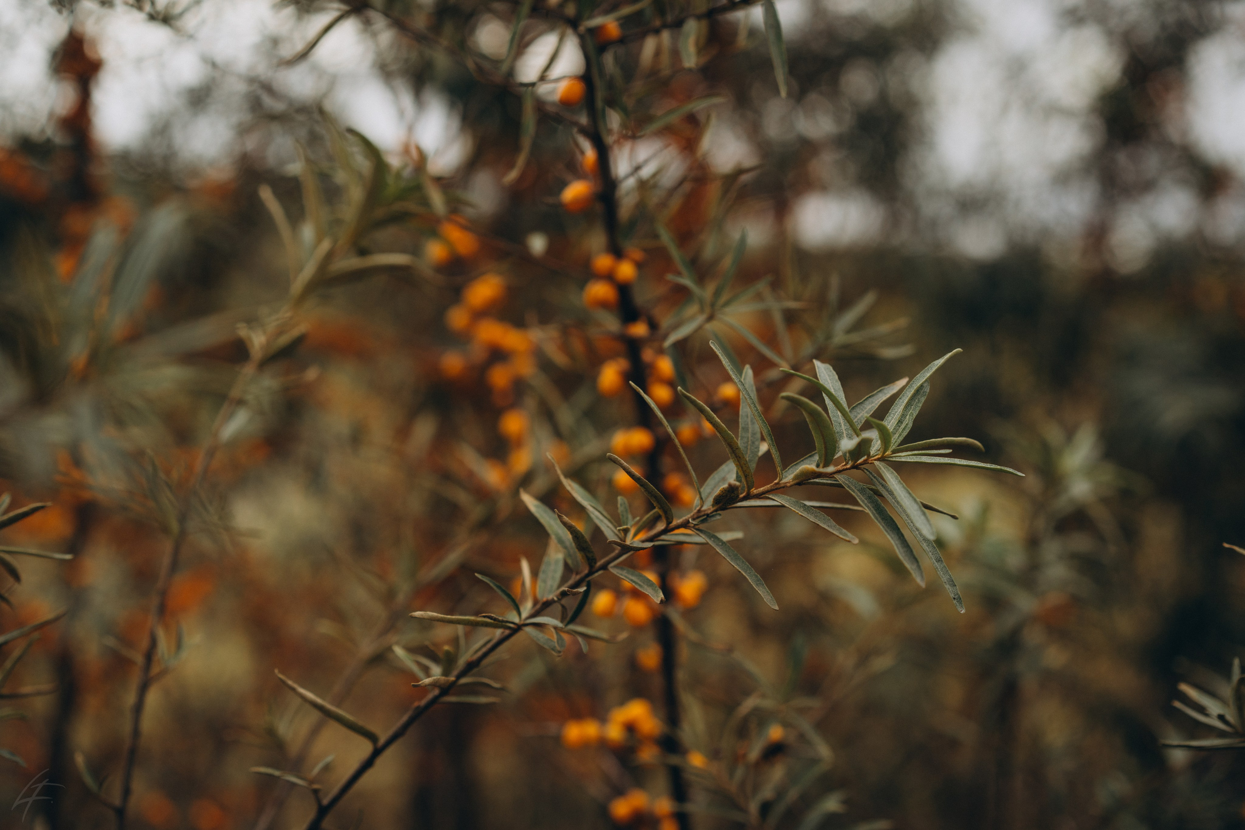 На квадриках по Ланьшинским карьерам. Лиза Фирстова — самый добрый фотограф