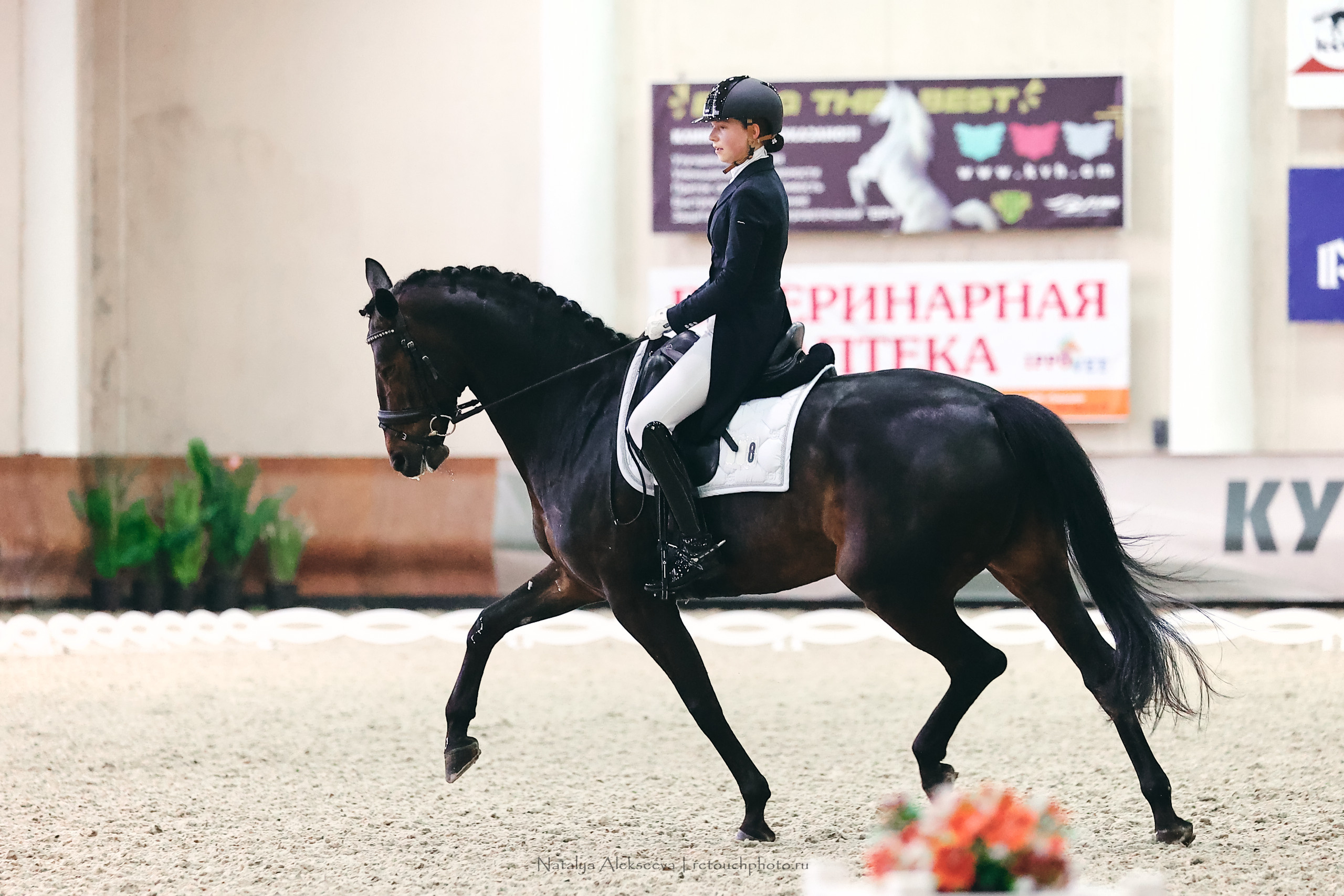Личный Кубок России по выездке, КСК Виват, Россия! | 03'2023. Репортажный фотограф и ретушер в Москве Наталья Алексеева