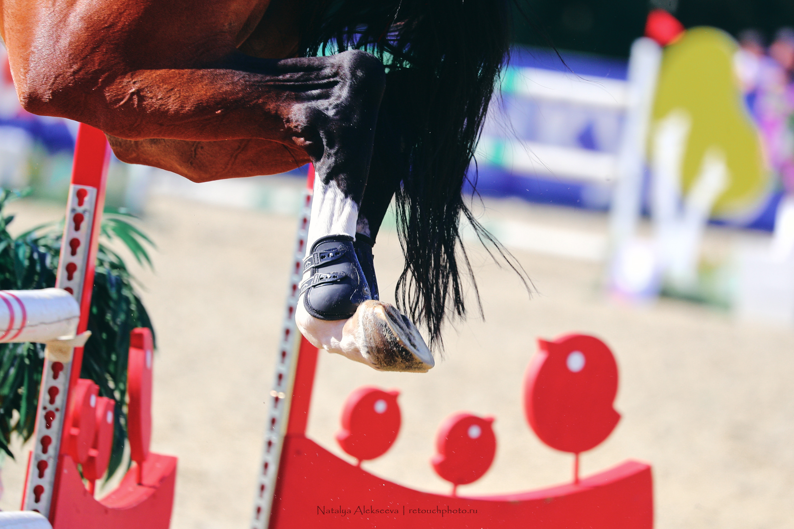 Лично-Командный ЧР по конкуру, КСК Ивановское | 08'2022. Репортажный фотограф и ретушер в Москве Наталья Алексеева