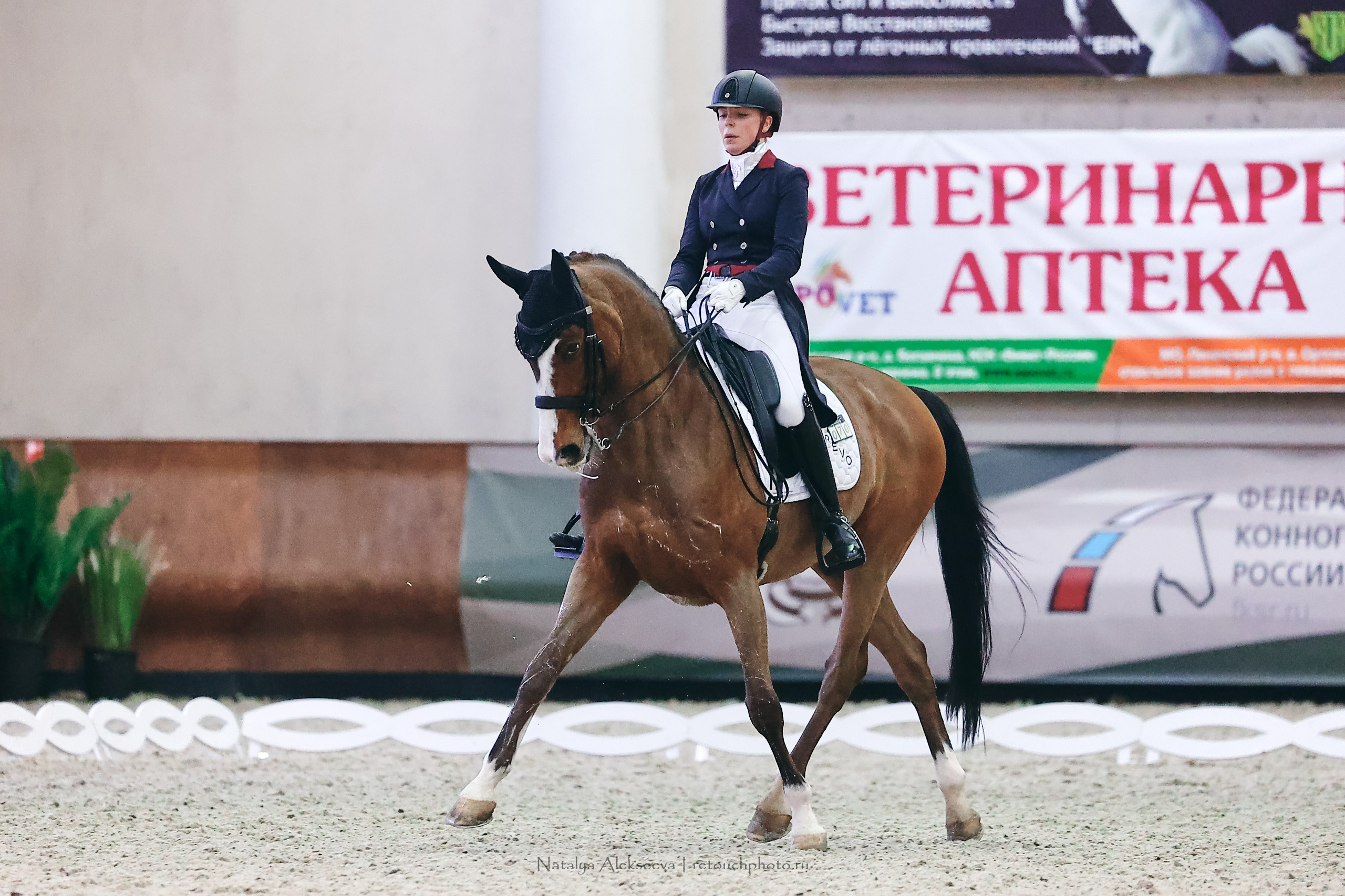 Личный Кубок России по выездке, КСК Виват, Россия! | 03'2023. Репортажный фотограф и ретушер в Москве Наталья Алексеева