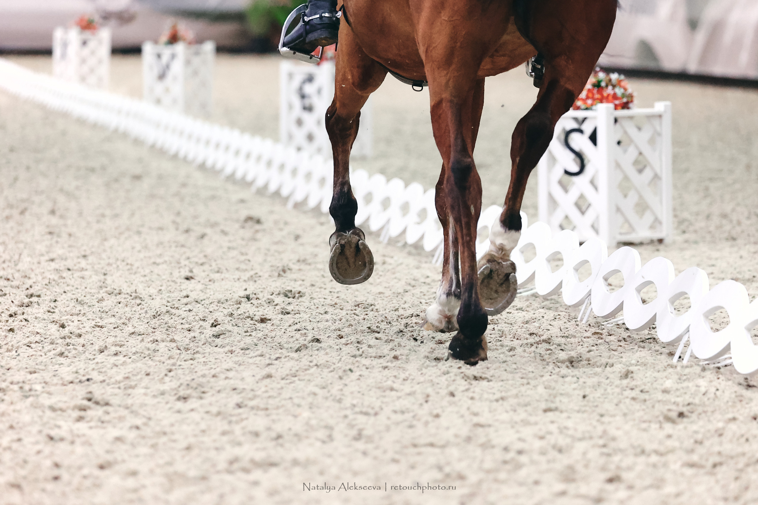 Личный Кубок России по выездке, КСК Виват, Россия! | 03'2023. Репортажный фотограф и ретушер в Москве Наталья Алексеева