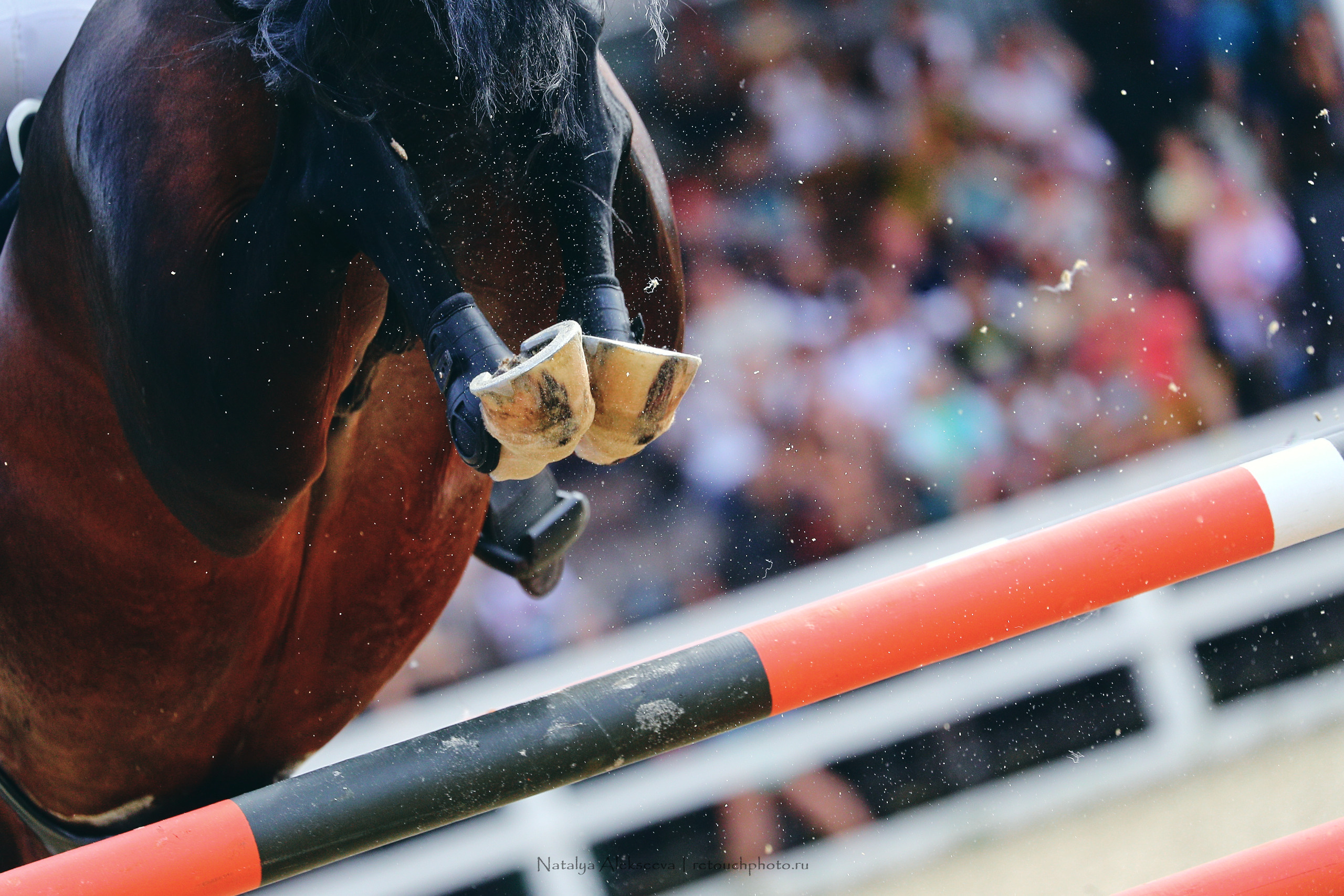 Лично-Командный ЧР по конкуру, КСК Ивановское | 08'2022. Репортажный фотограф и ретушер в Москве Наталья Алексеева