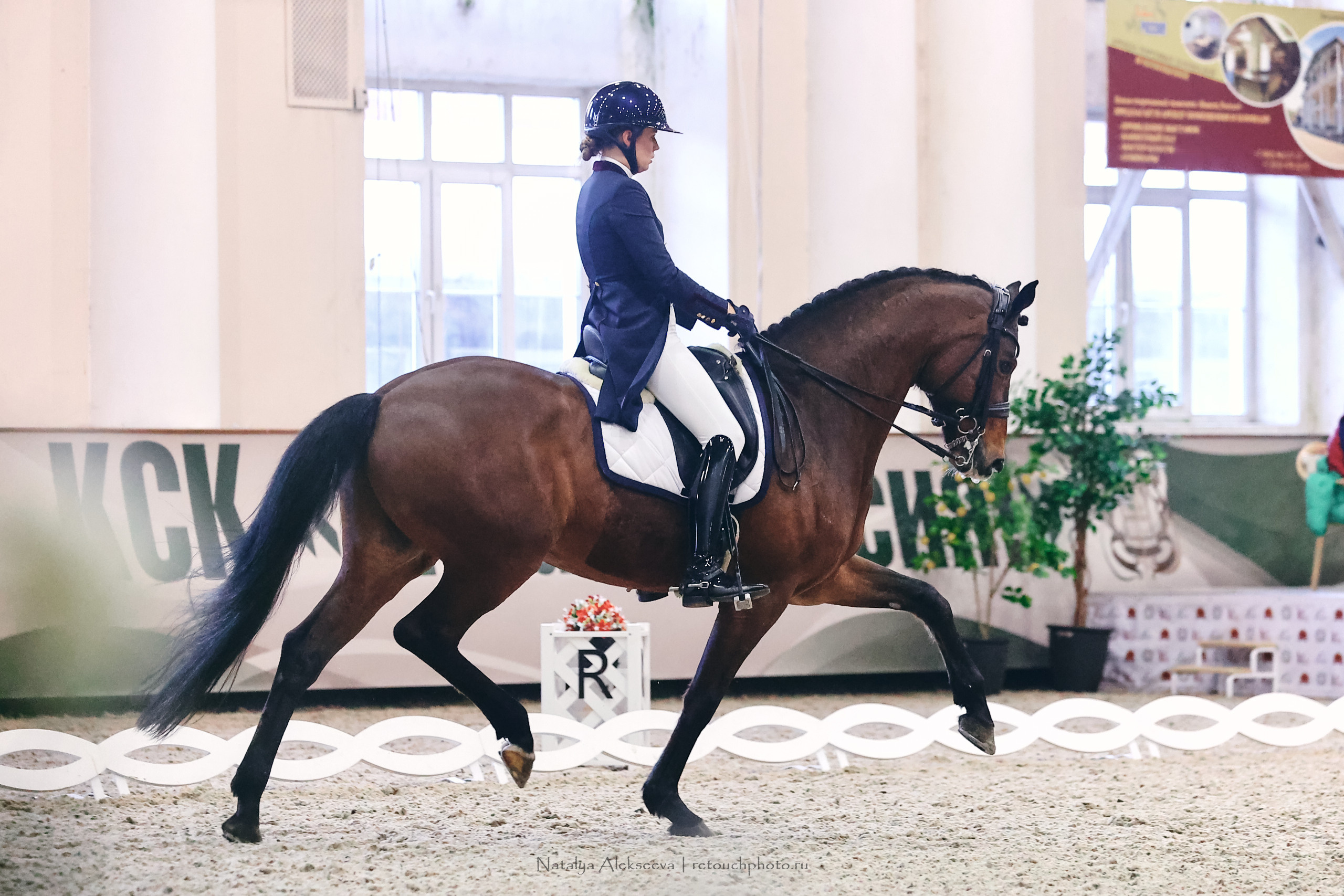 Личный Кубок России по выездке, КСК Виват, Россия! | 03'2023. Репортажный фотограф и ретушер в Москве Наталья Алексеева