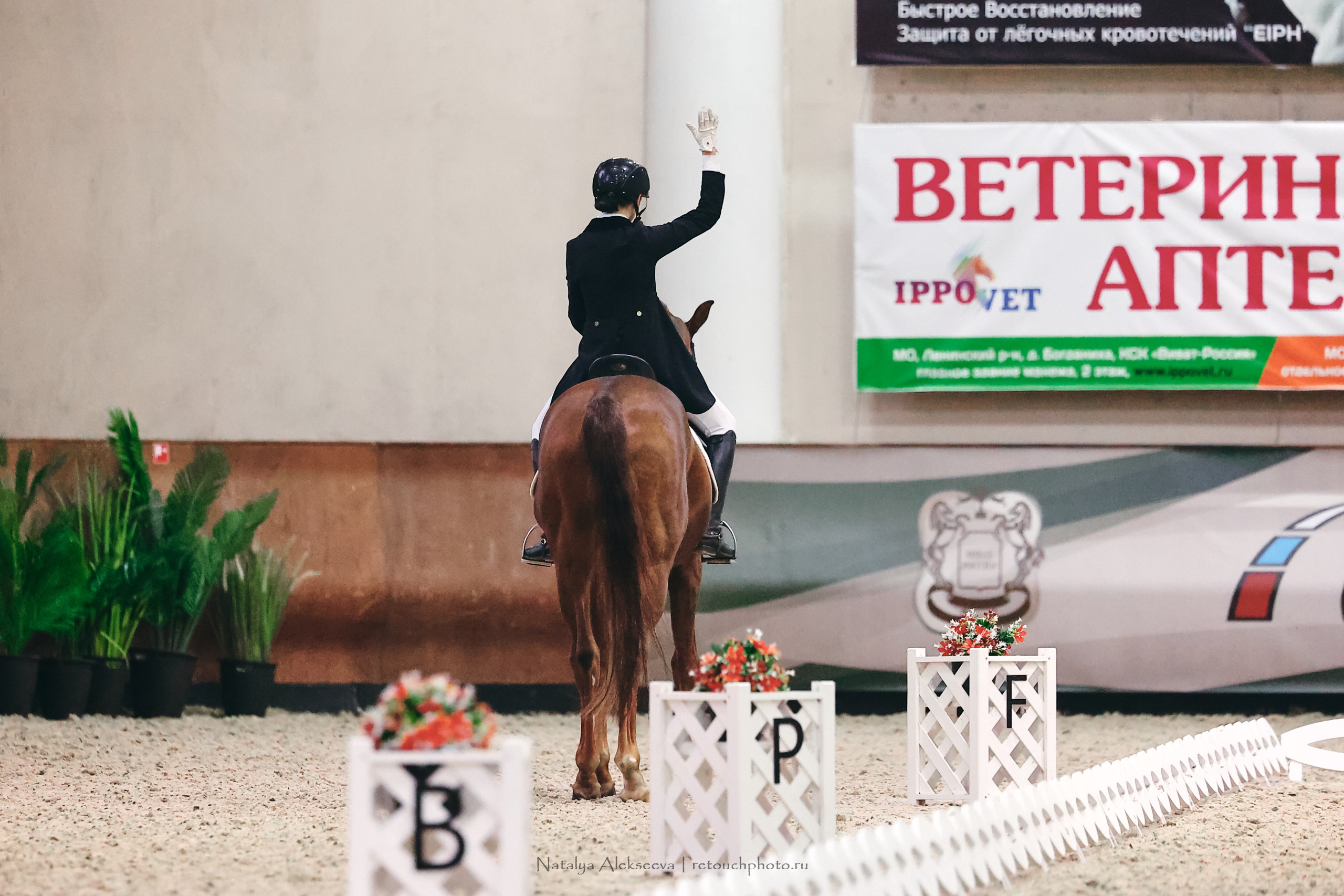 Личный Кубок России по выездке, КСК Виват, Россия! | 03'2023. Репортажный фотограф и ретушер в Москве Наталья Алексеева