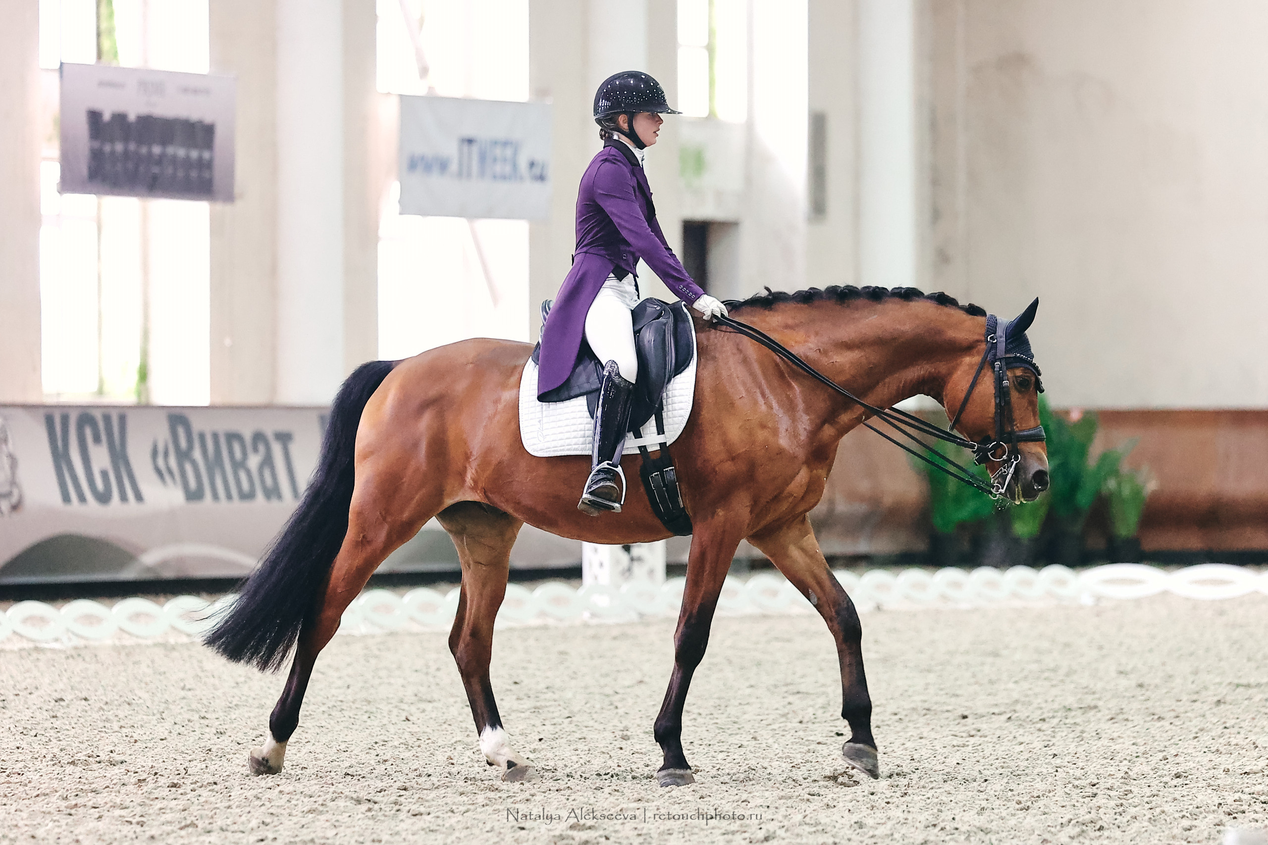 Личный Кубок России по выездке, КСК Виват, Россия! | 03'2023. Репортажный фотограф и ретушер в Москве Наталья Алексеева