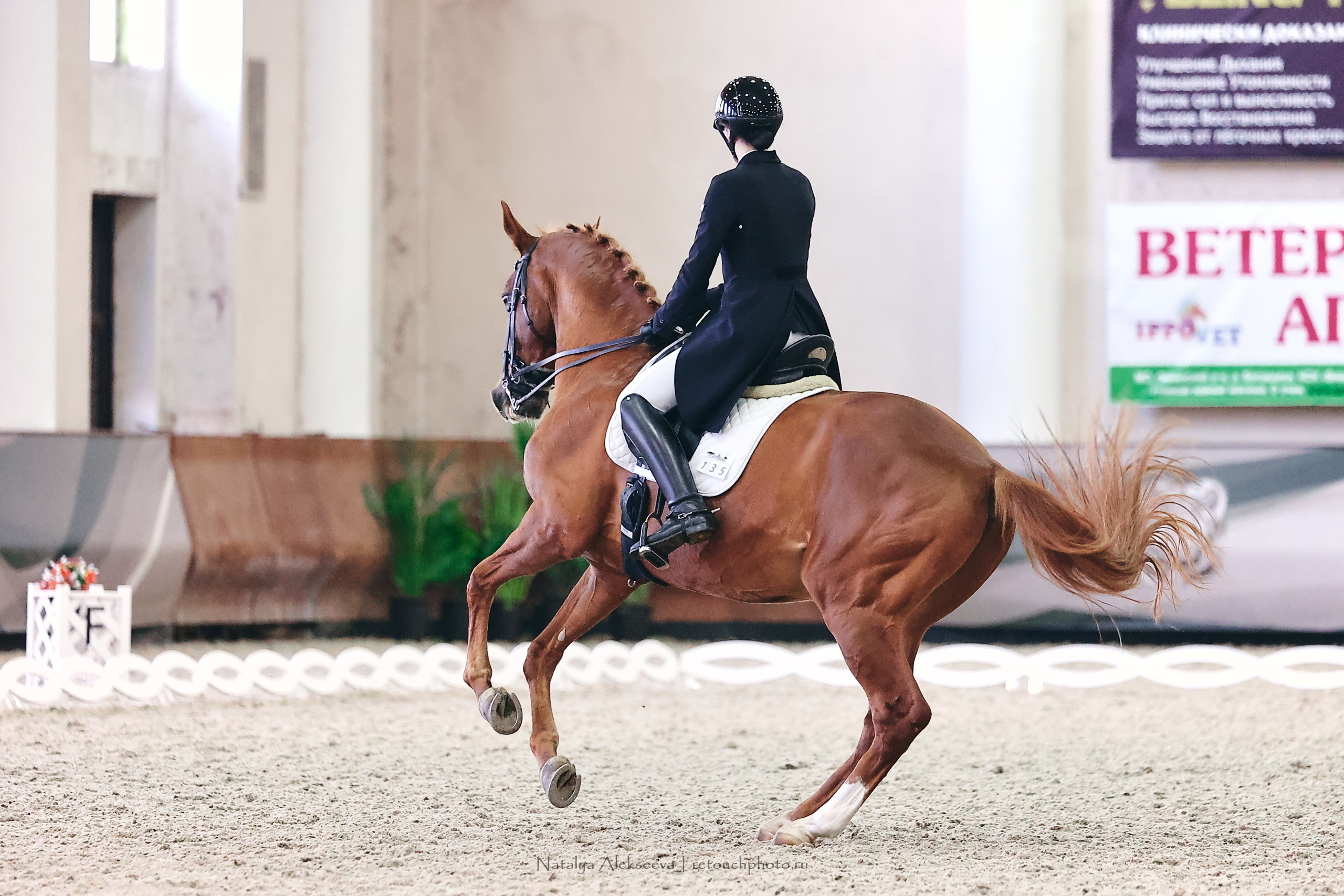 Личный Кубок России по выездке, КСК Виват, Россия! | 03'2023. Репортажный фотограф и ретушер в Москве Наталья Алексеева