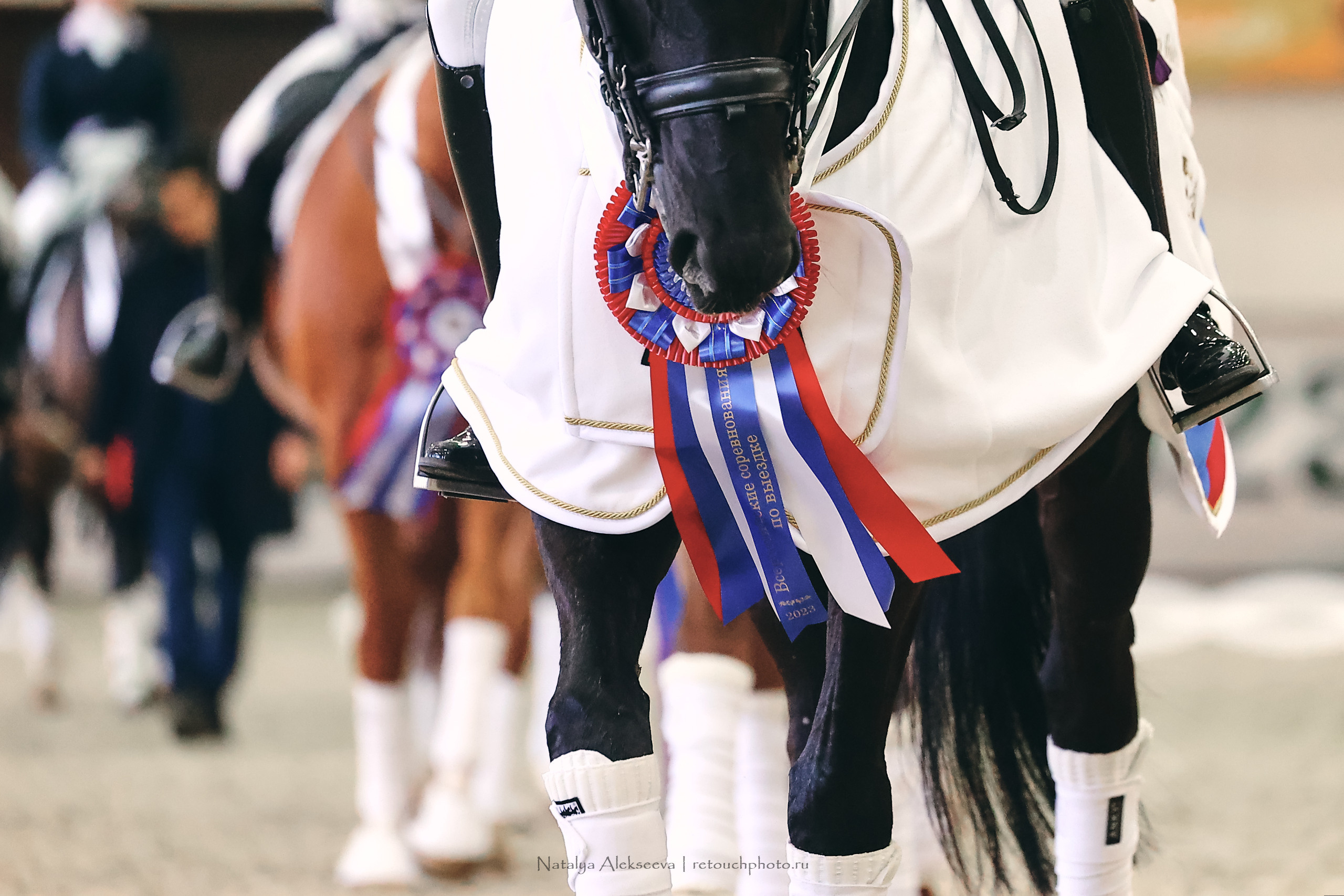 Личный Кубок России по выездке, КСК Виват, Россия! | 03'2023. Репортажный фотограф и ретушер в Москве Наталья Алексеева
