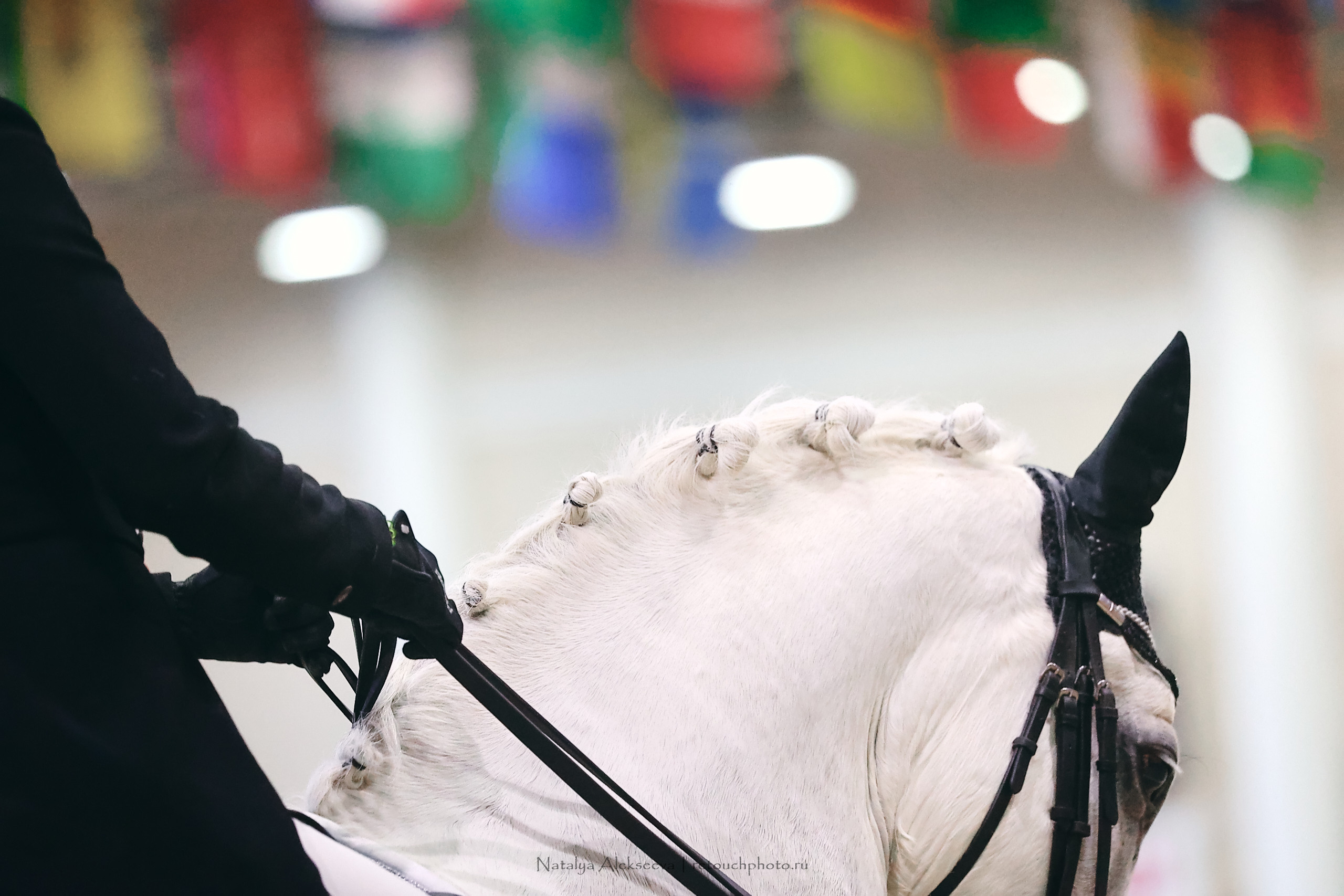 Личный Кубок России по выездке, КСК Виват, Россия! | 03'2023. Репортажный фотограф и ретушер в Москве Наталья Алексеева