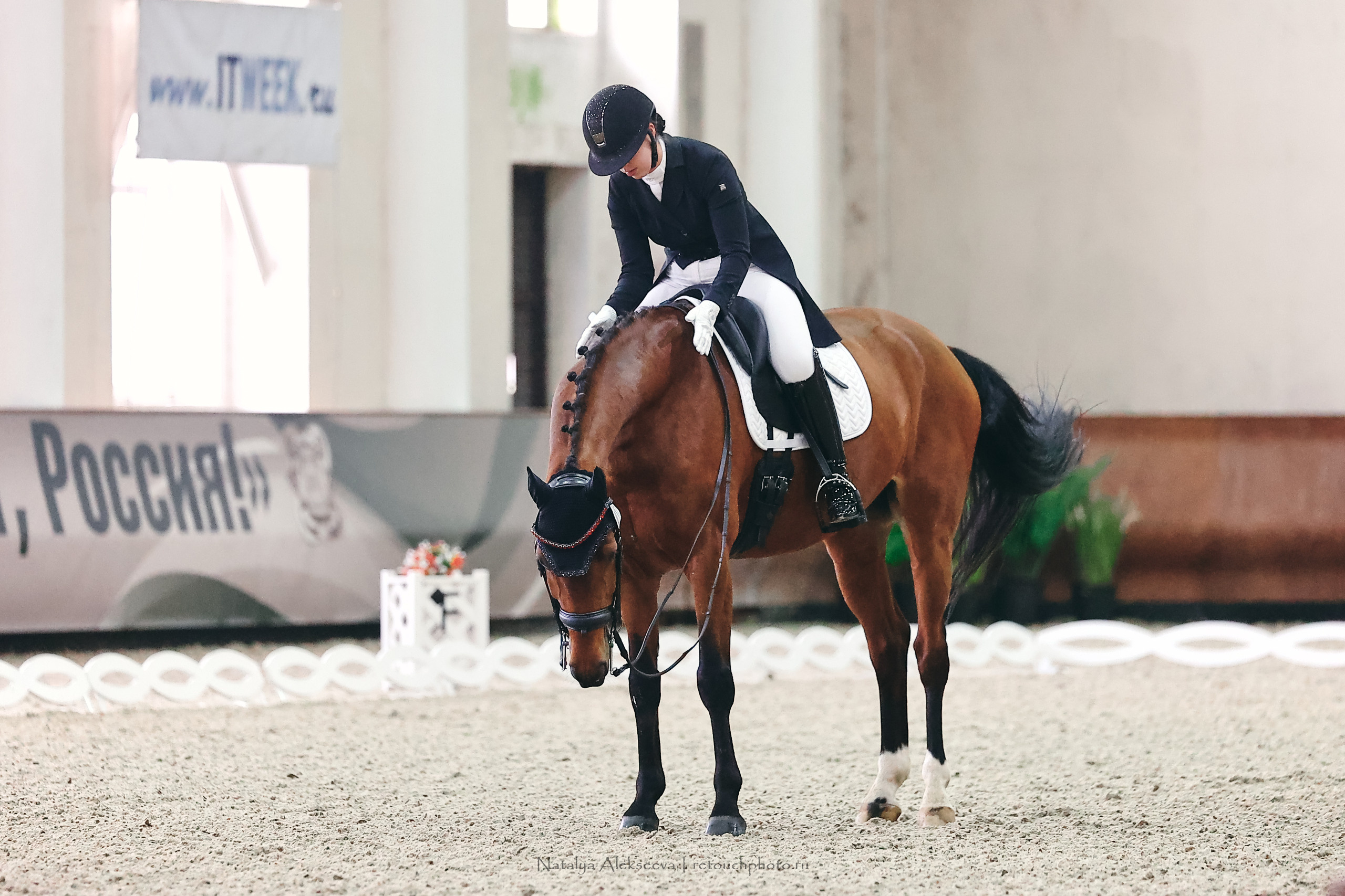 Личный Кубок России по выездке, КСК Виват, Россия! | 03'2023. Репортажный фотограф и ретушер в Москве Наталья Алексеева