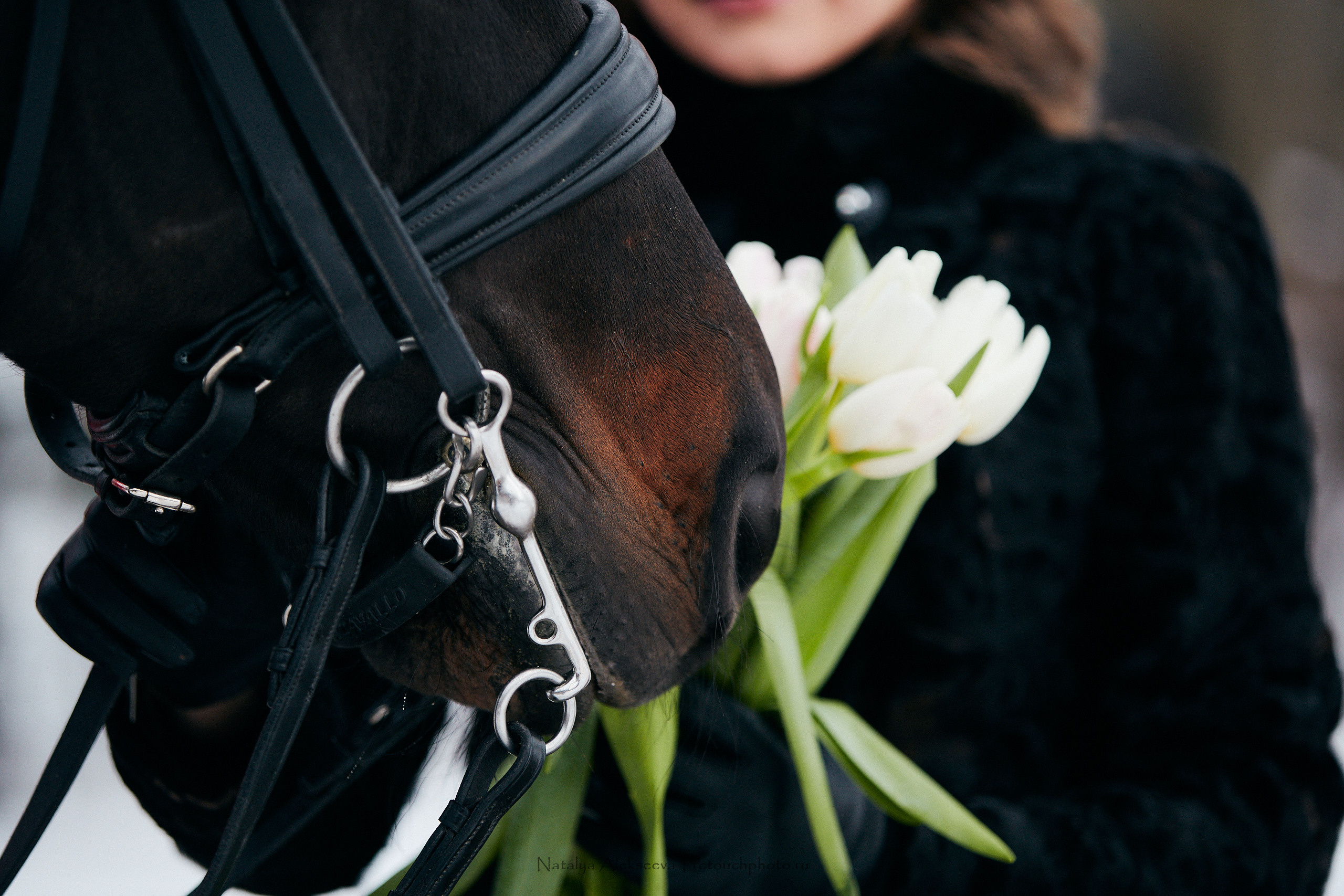 Александра и Favorite Fream, КСК Отрада. Репортажный фотограф и ретушер в Москве Наталья Алексеева