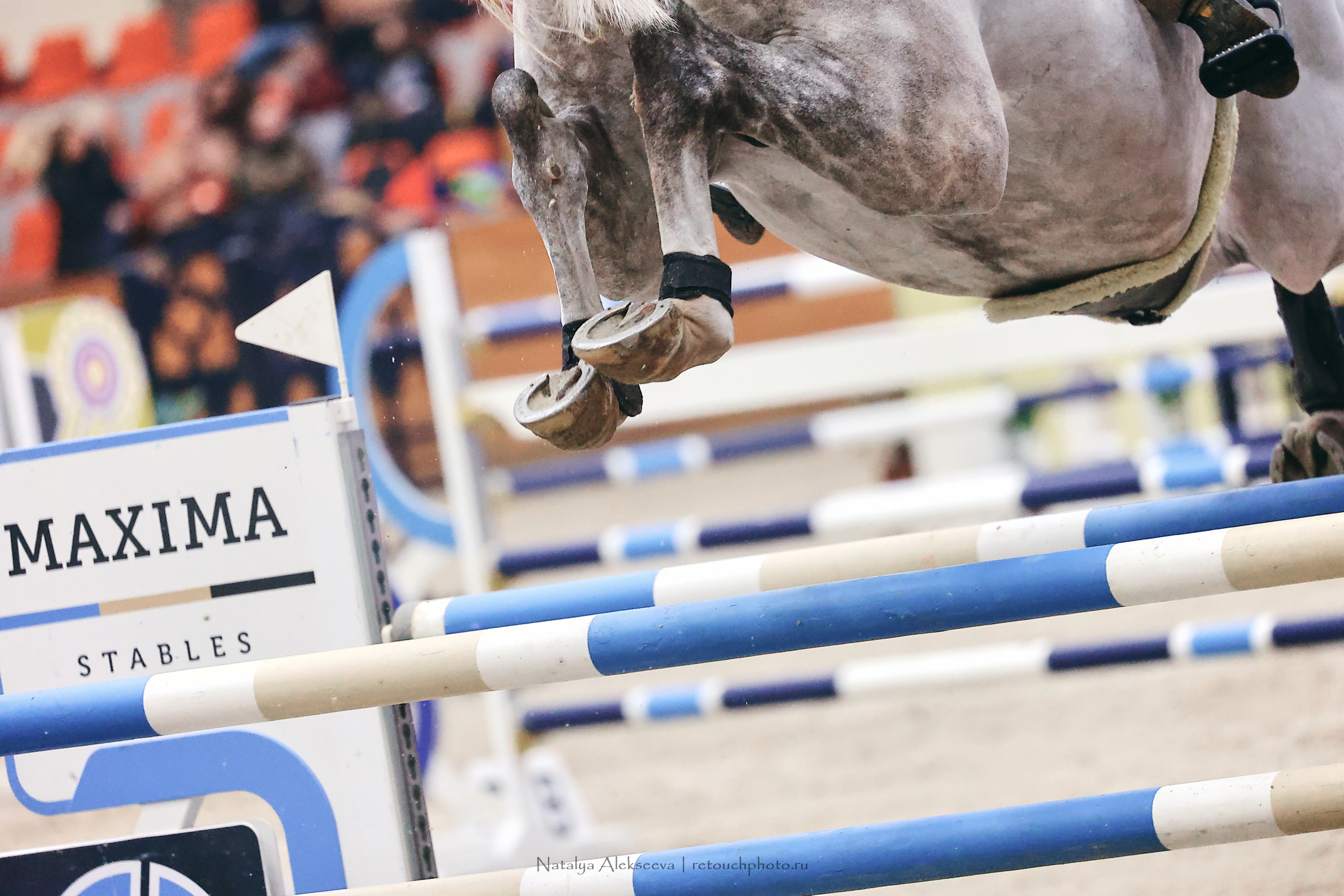 Финал ММ Team по конкуру, Maxima Stables | 03'2023. Репортажный фотограф и ретушер в Москве Наталья Алексеева