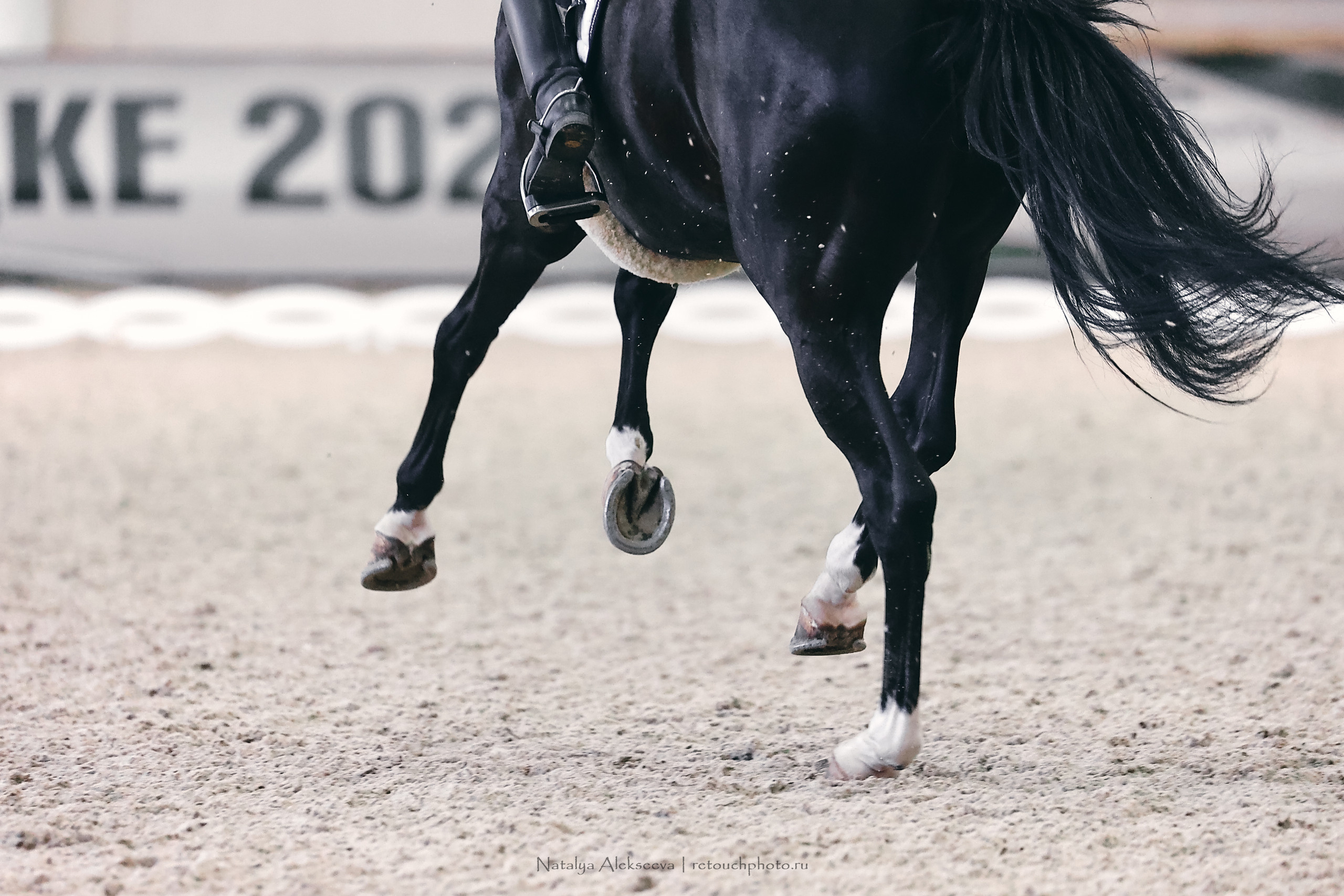 Личный Кубок России по выездке, КСК Виват, Россия! | 03'2023. Репортажный фотограф и ретушер в Москве Наталья Алексеева