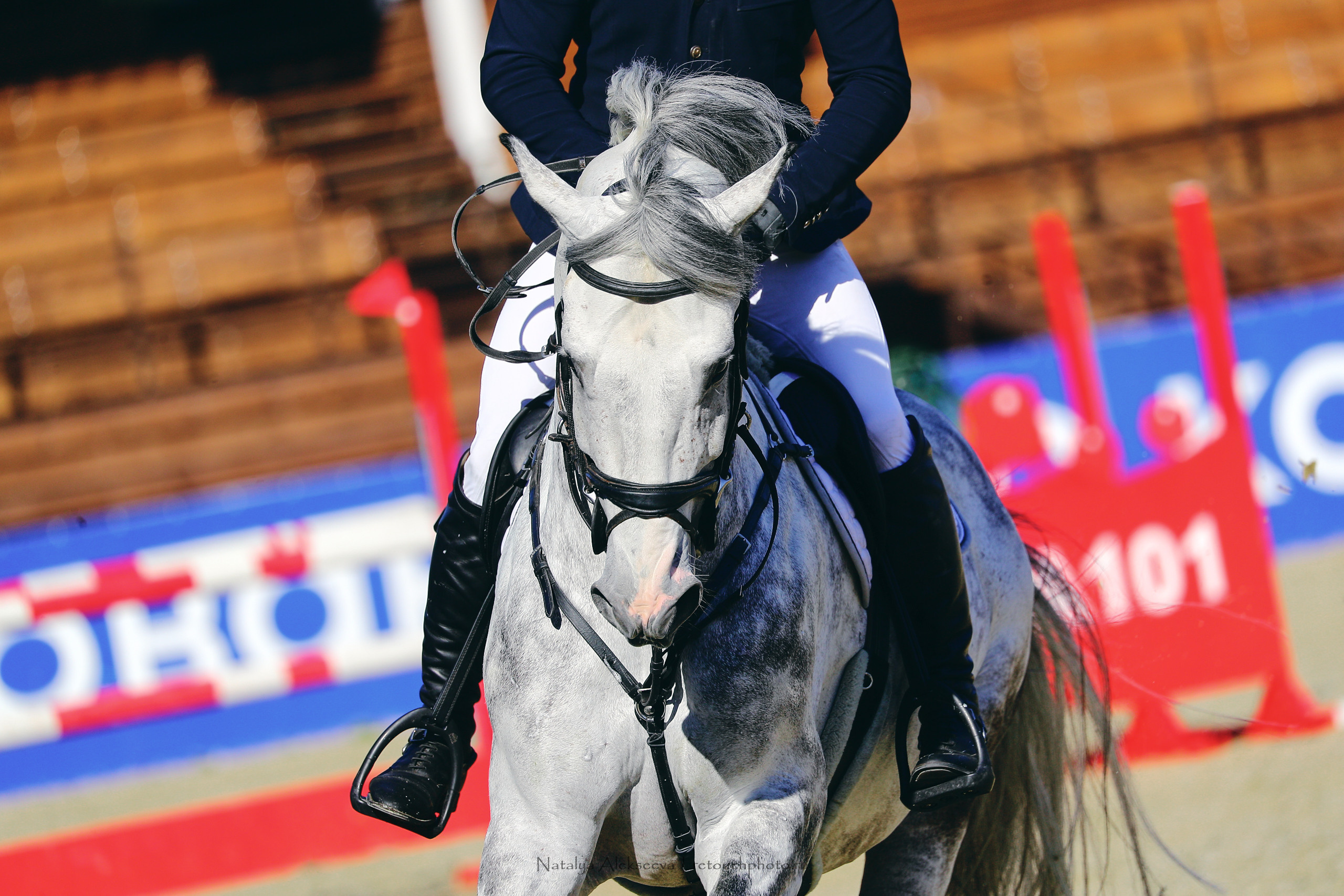 Лично-Командный ЧР по конкуру, КСК Ивановское | 08'2022. Репортажный фотограф и ретушер в Москве Наталья Алексеева