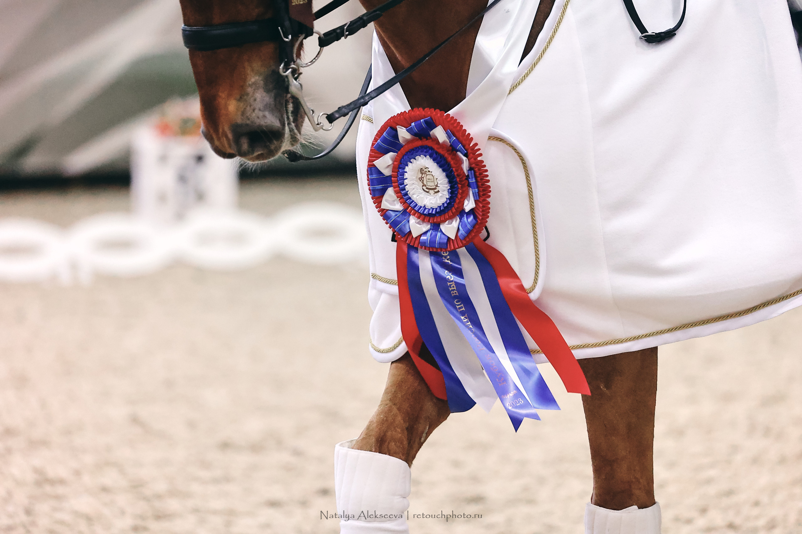 Личный Кубок России по выездке, КСК Виват, Россия! | 03'2023. Репортажный фотограф и ретушер в Москве Наталья Алексеева
