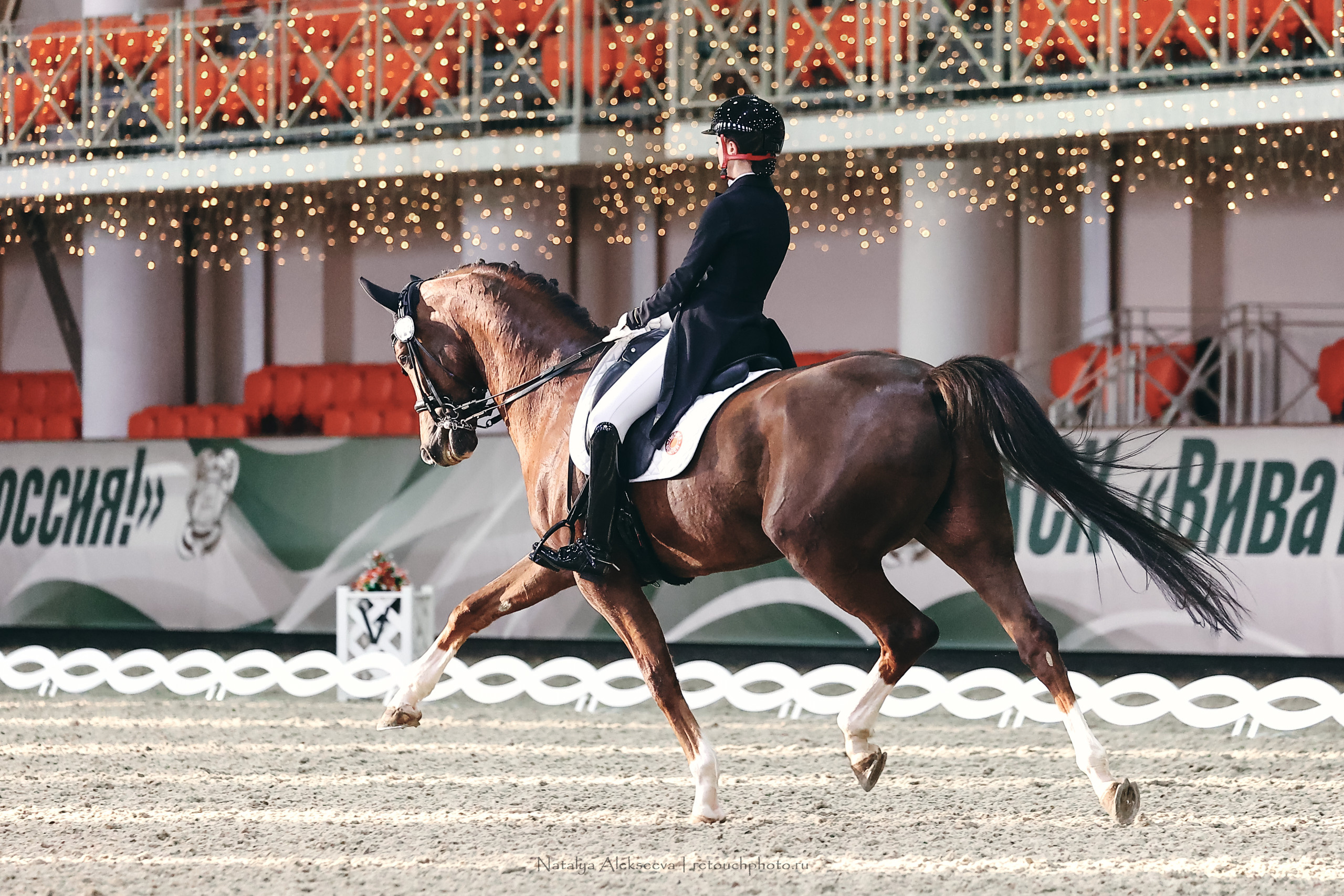Личный Кубок России по выездке, КСК Виват, Россия! | 03'2023. Репортажный фотограф и ретушер в Москве Наталья Алексеева