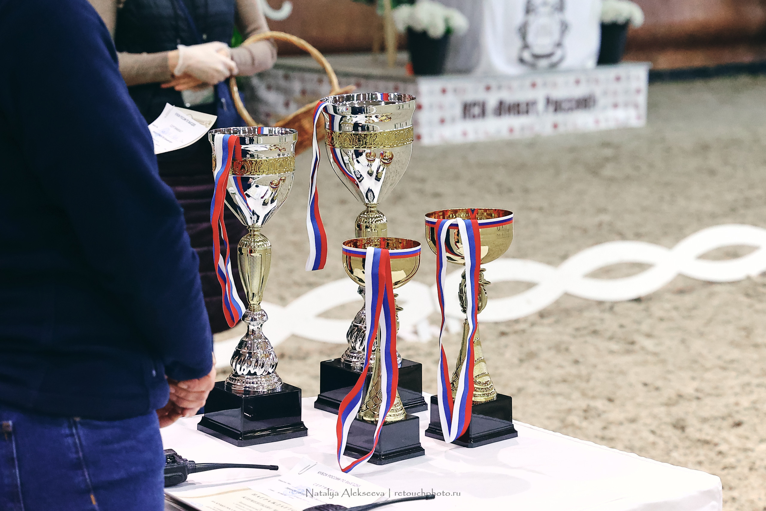 Личный Кубок России по выездке, КСК Виват, Россия! | 03'2023. Репортажный фотограф и ретушер в Москве Наталья Алексеева