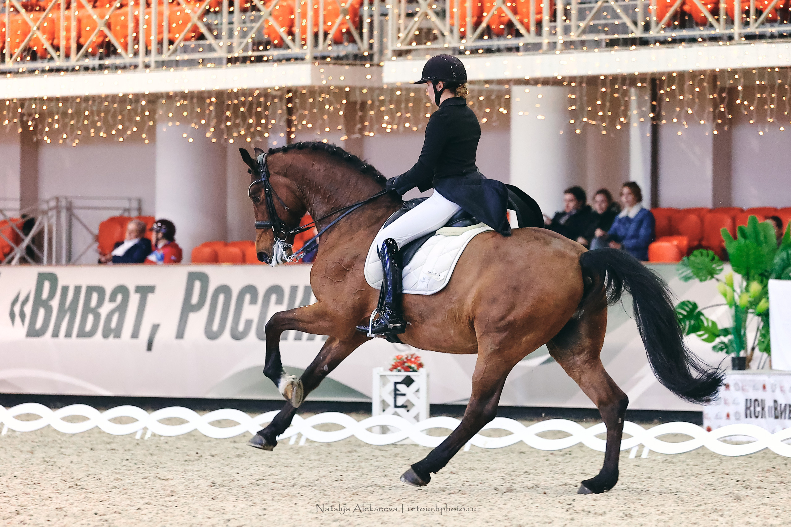 Личный Кубок России по выездке, КСК Виват, Россия! | 03'2023. Репортажный фотограф и ретушер в Москве Наталья Алексеева
