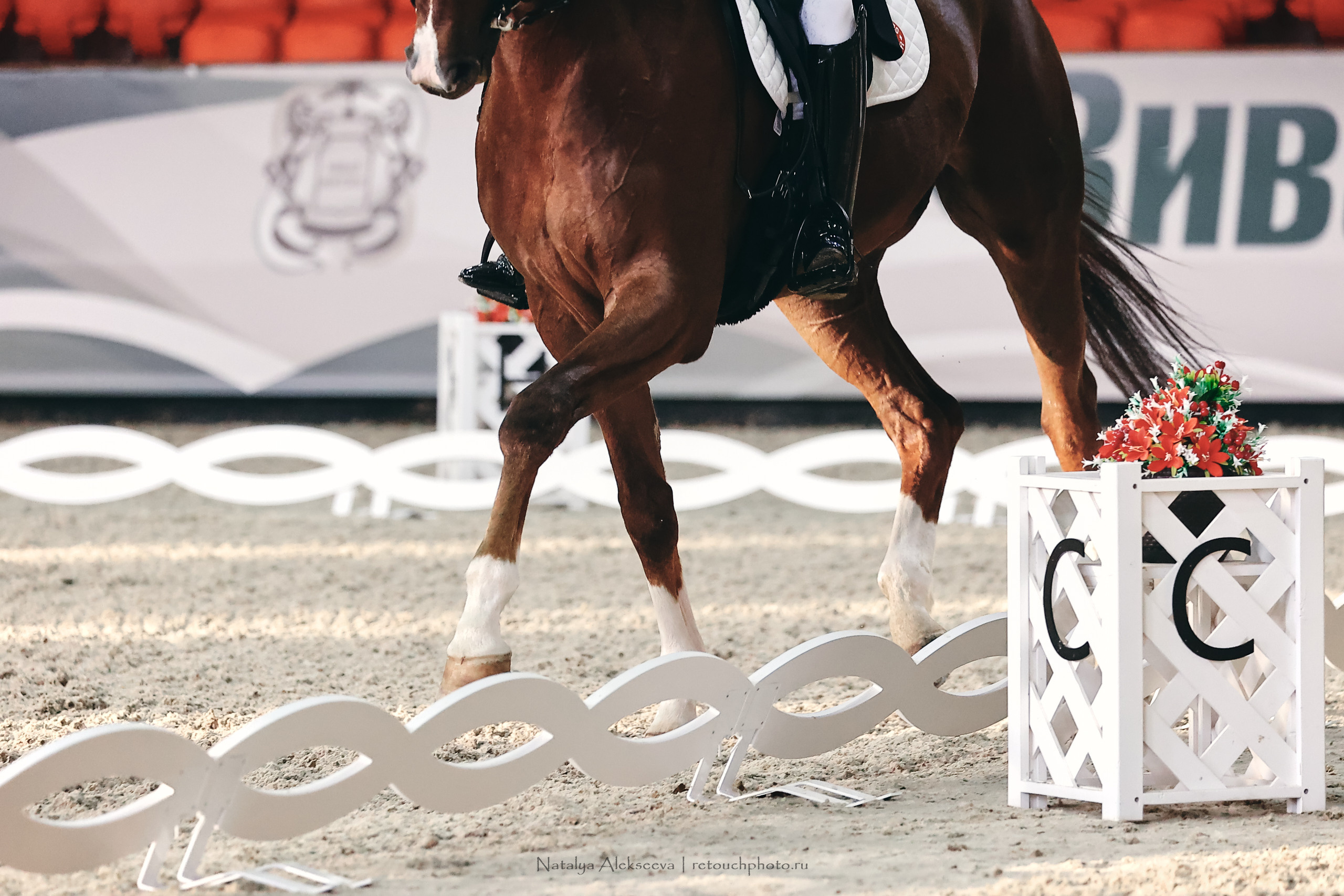 Личный Кубок России по выездке, КСК Виват, Россия! | 03'2023