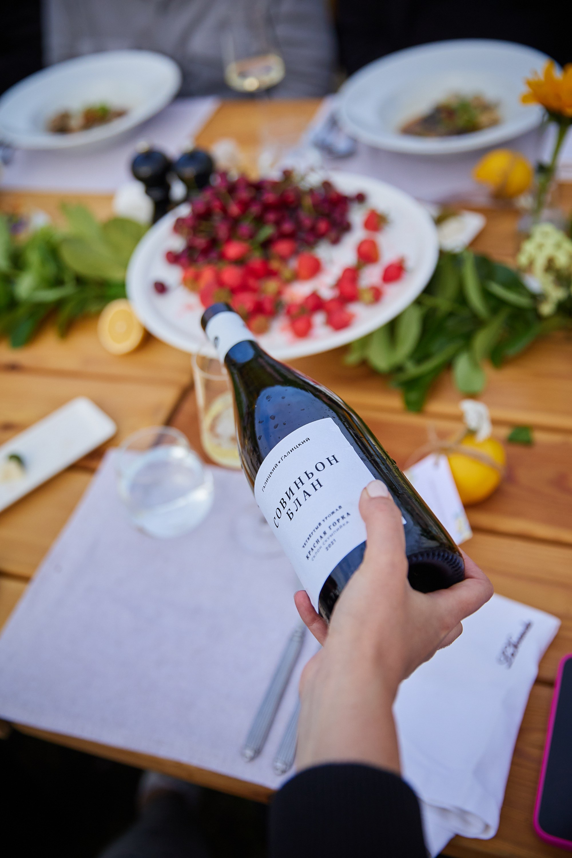 Galitsky & Galitsky. ПОЧЕМУ? СТУДИЯ