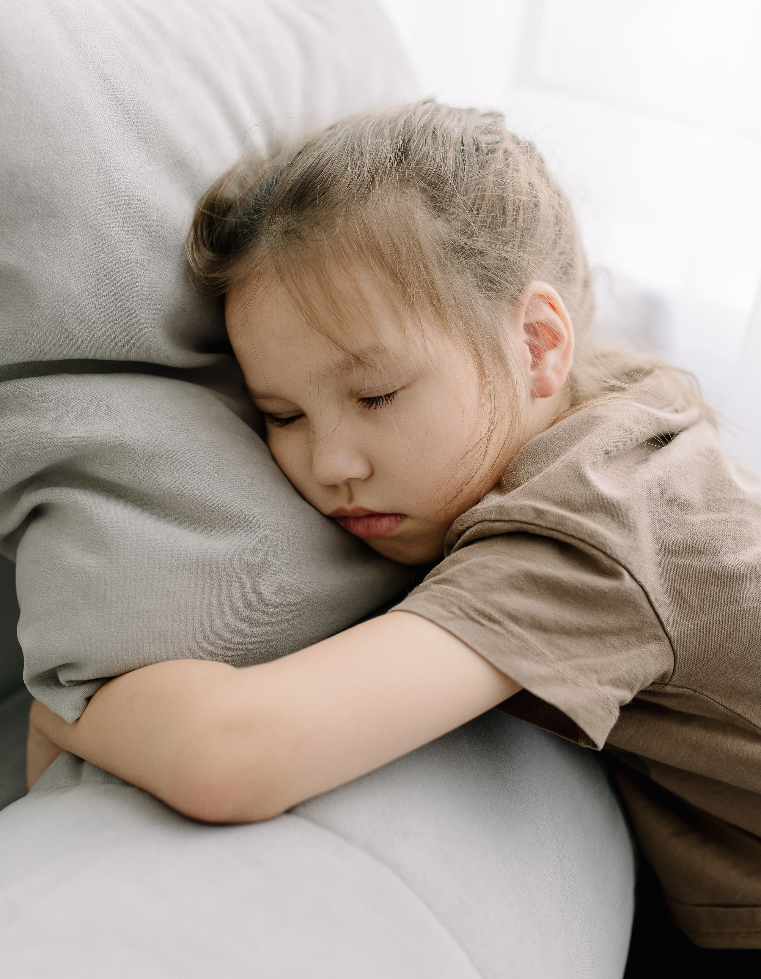 Домашняя история. Meryfotoidea