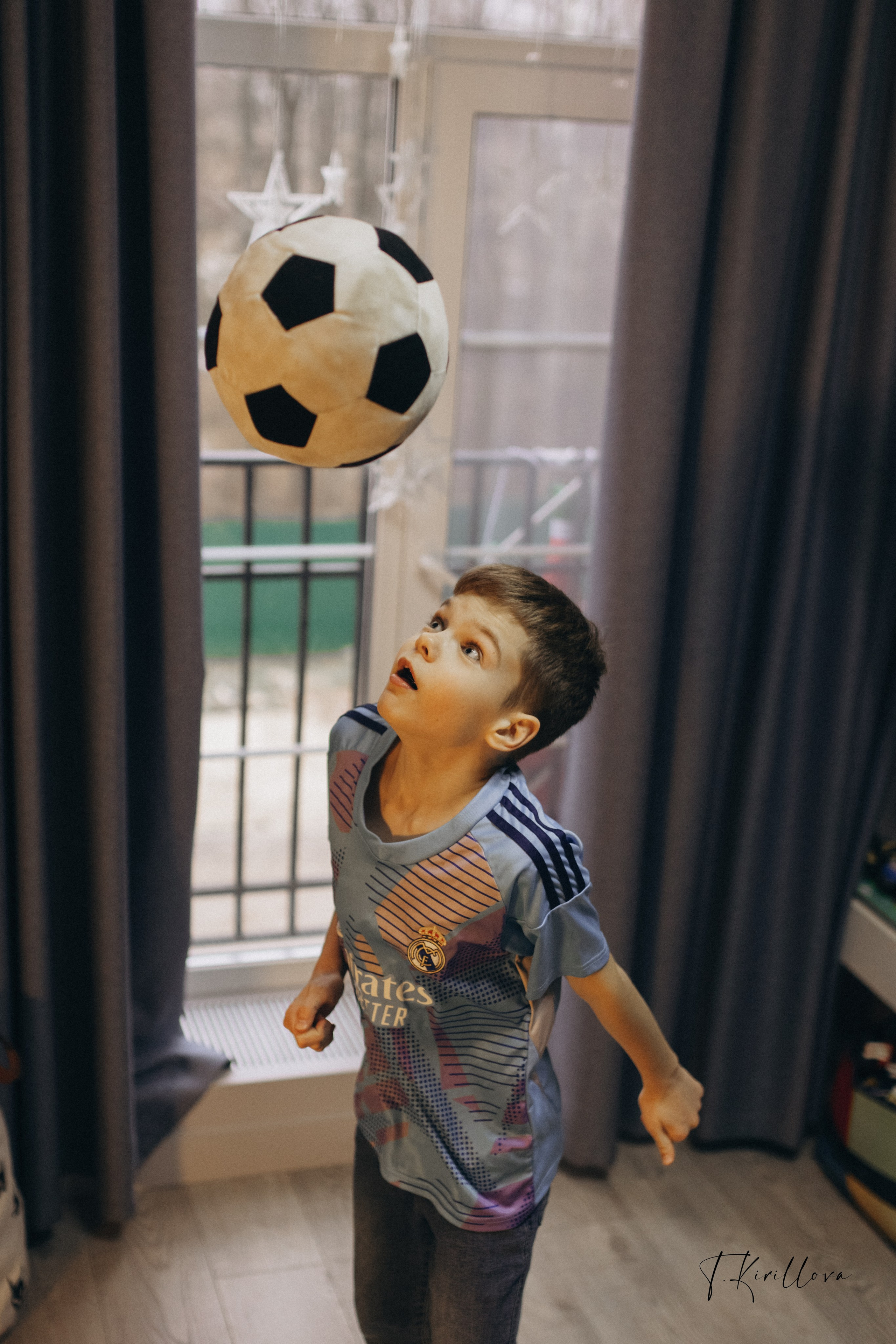 Новогоднее утро. Фотограф-анималист в Москве Кириллова Татьяна