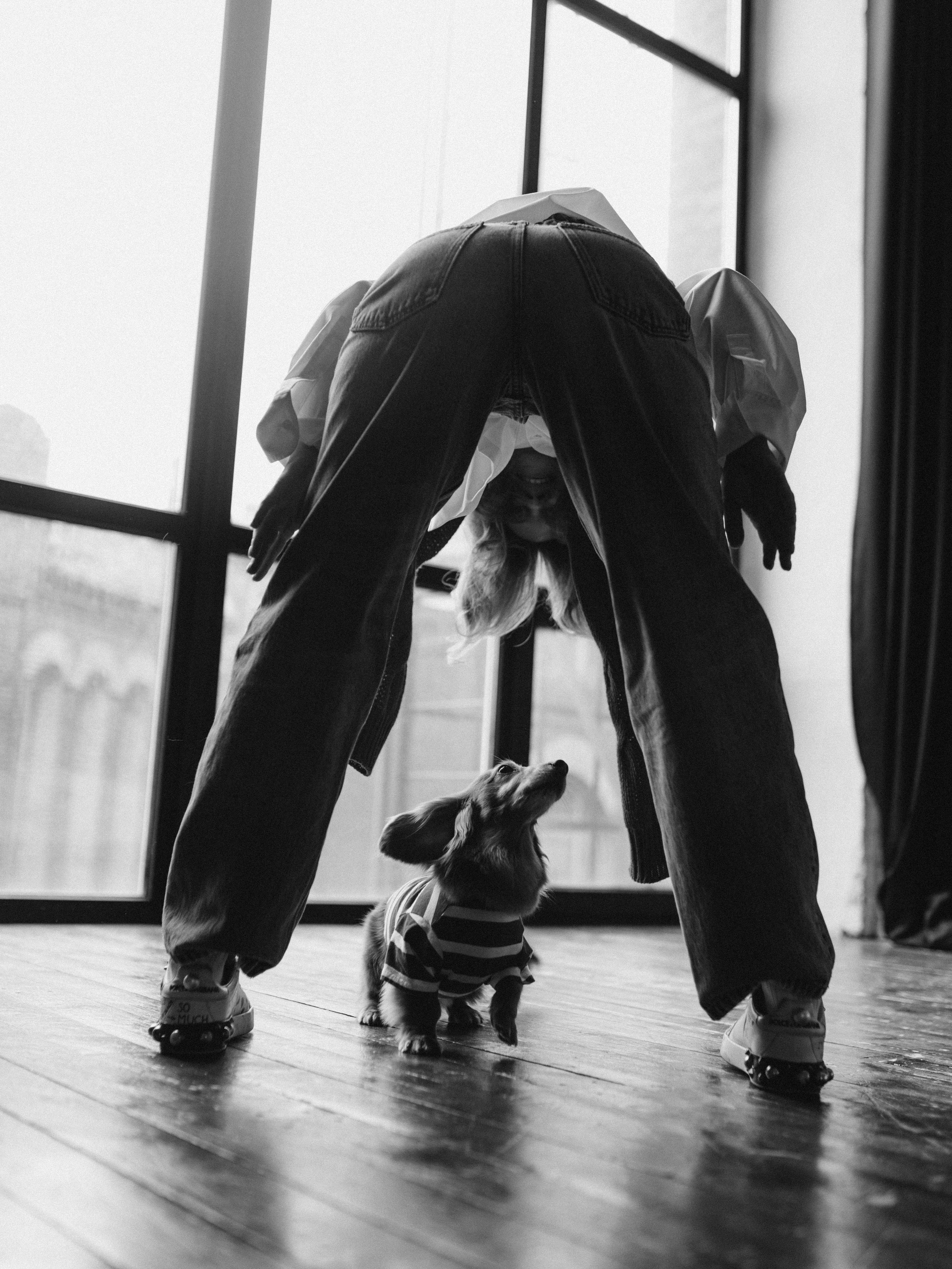 Лимон и Аня. Фотограф-анималист в Москве Кириллова Татьяна