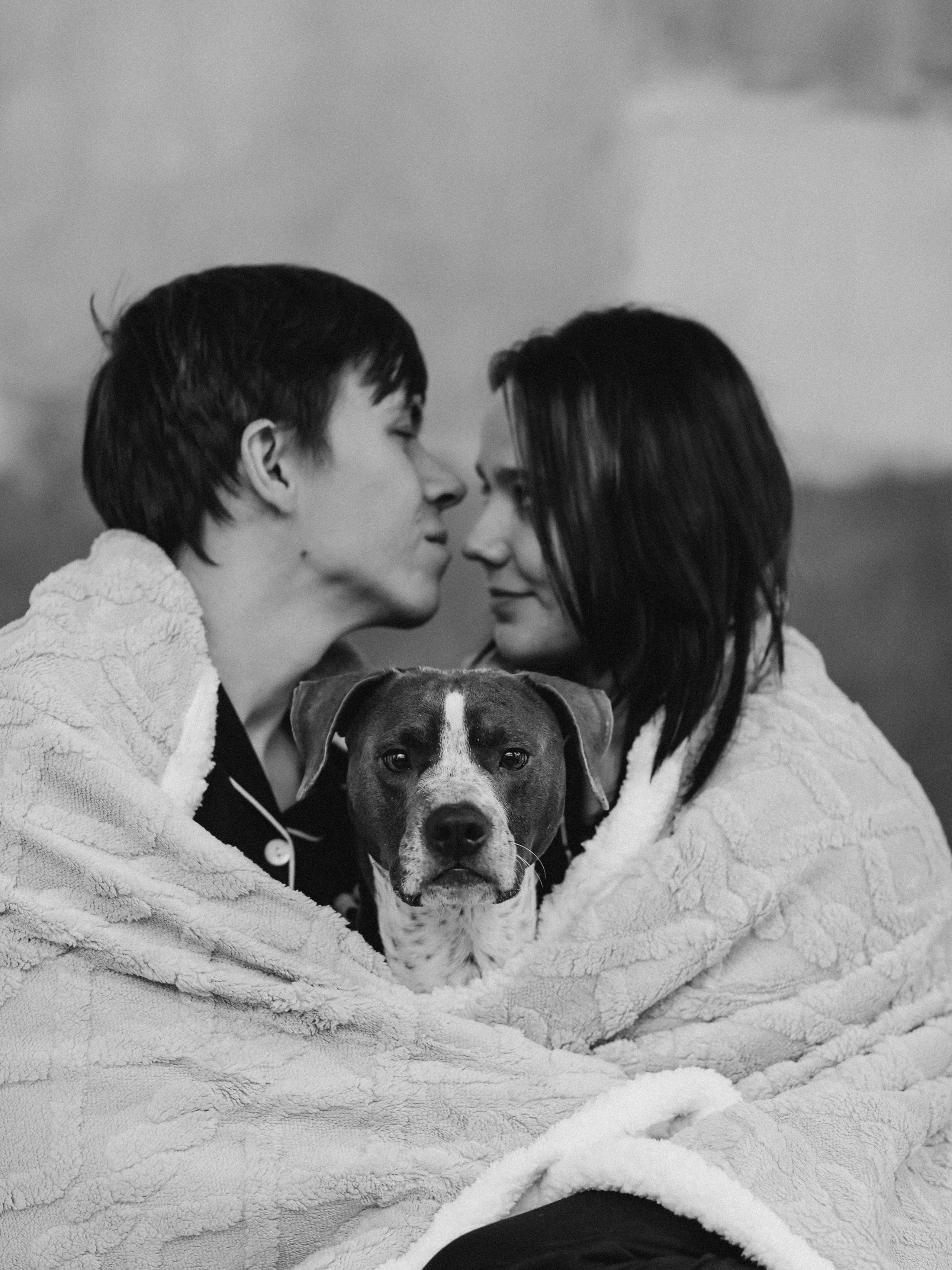 Тортик Даша и Никита. Фотограф-анималист в Москве Кириллова Татьяна