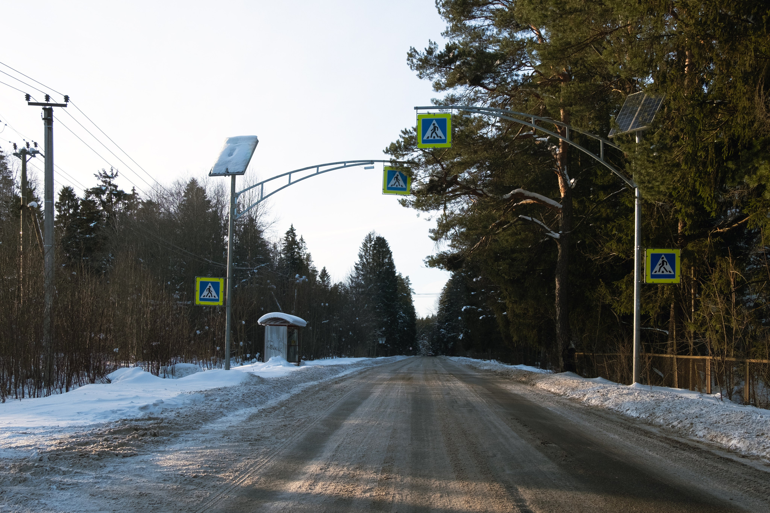 Пионерлагеря. Курочкина Софья